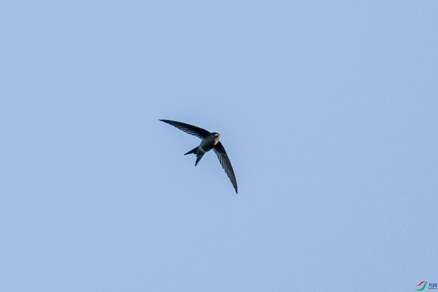 DSC_6132.JPG