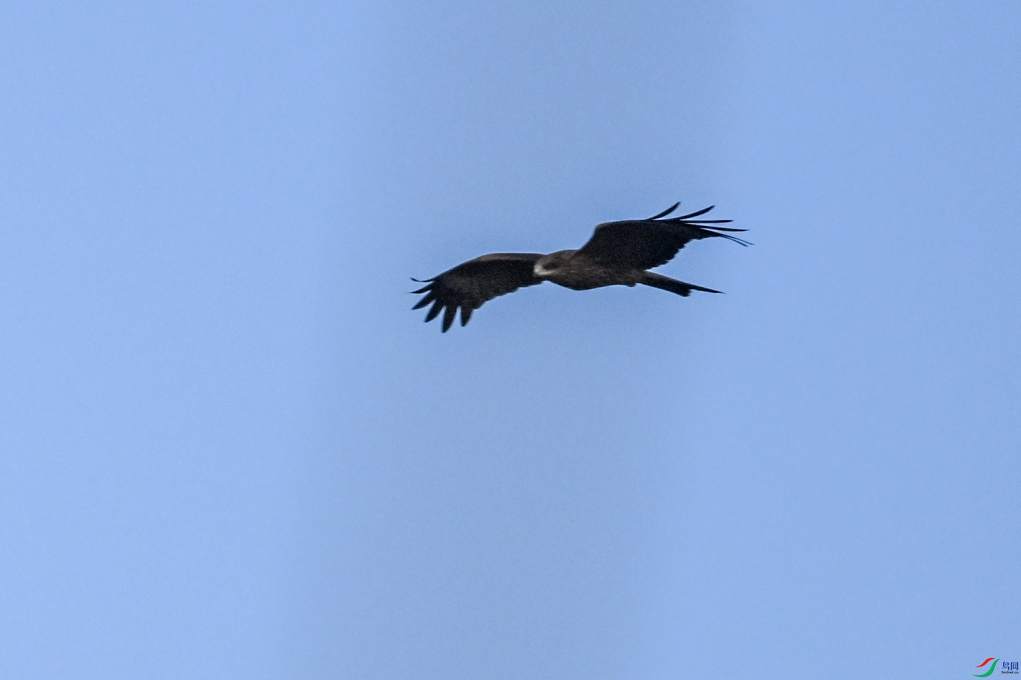 DSC_6118.JPG