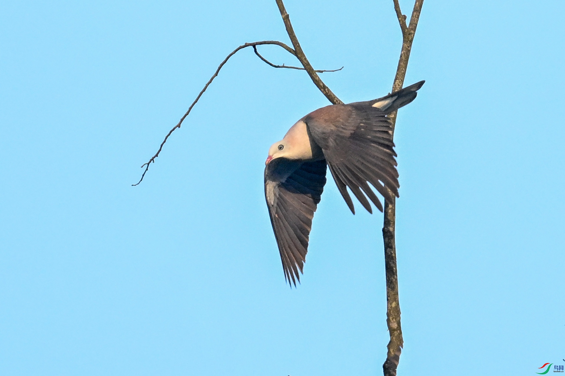 DSC_6087.JPG