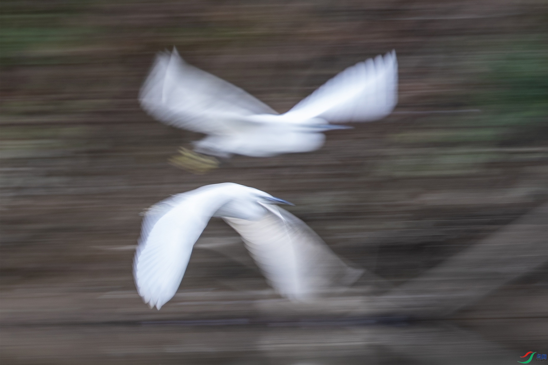 B26I0628 ����000.jpg