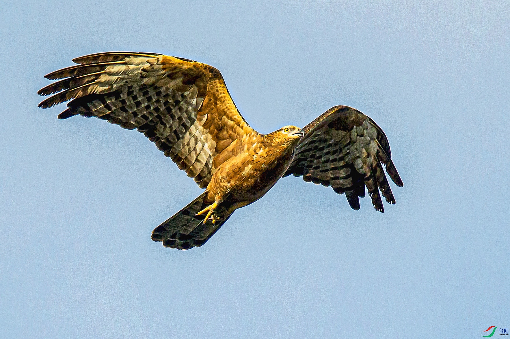 _MG_1294 ���� 2.jpg