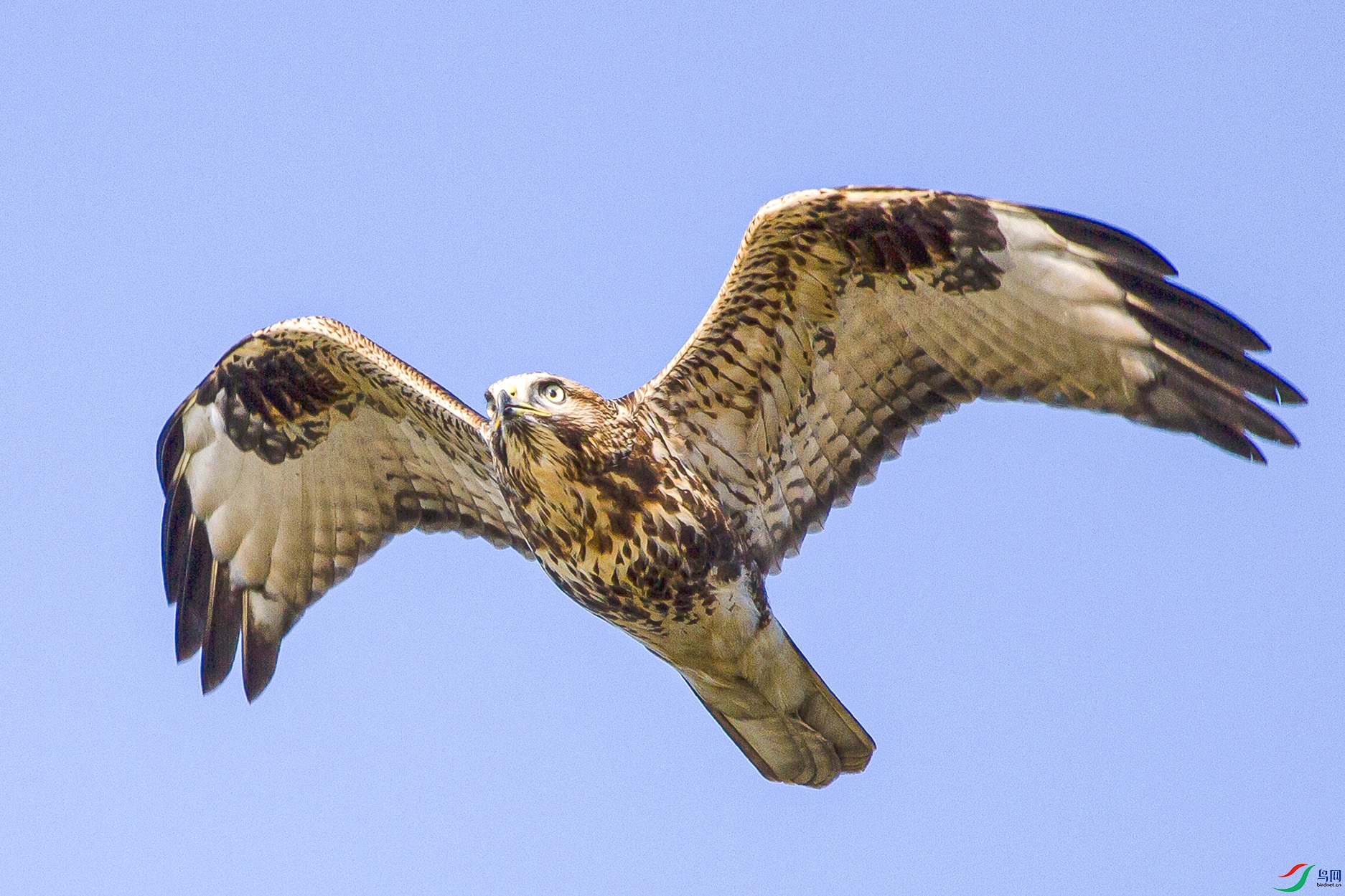 _MG_9883 ����.jpg