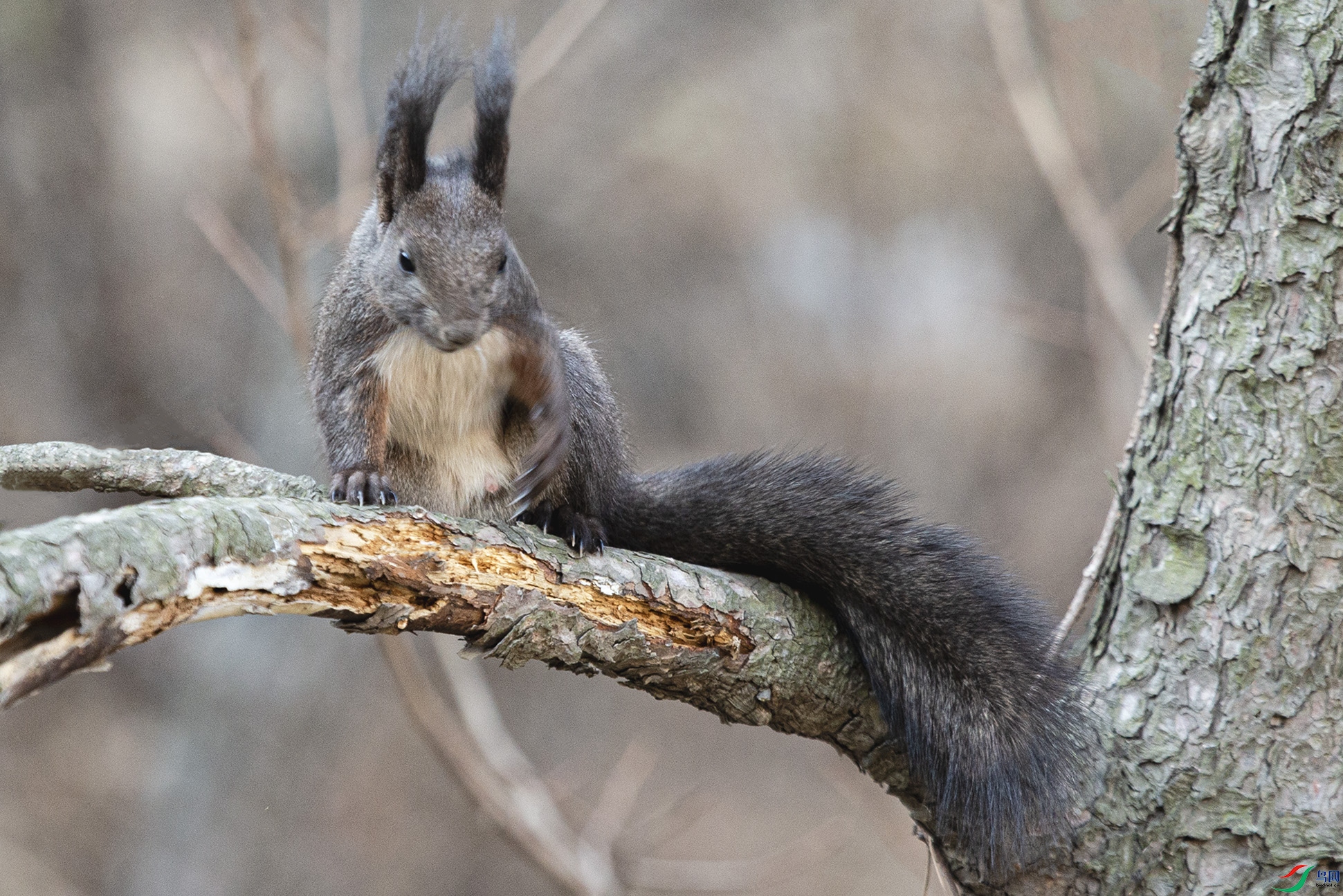 _MG_8145 ����.jpg