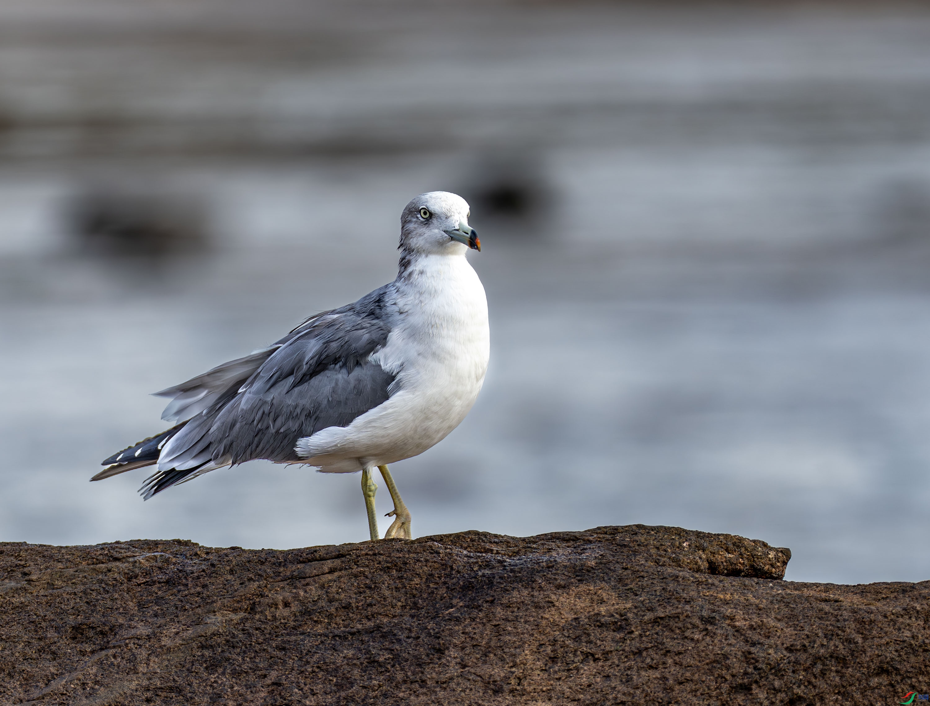 ��βŸ -02-13.jpg