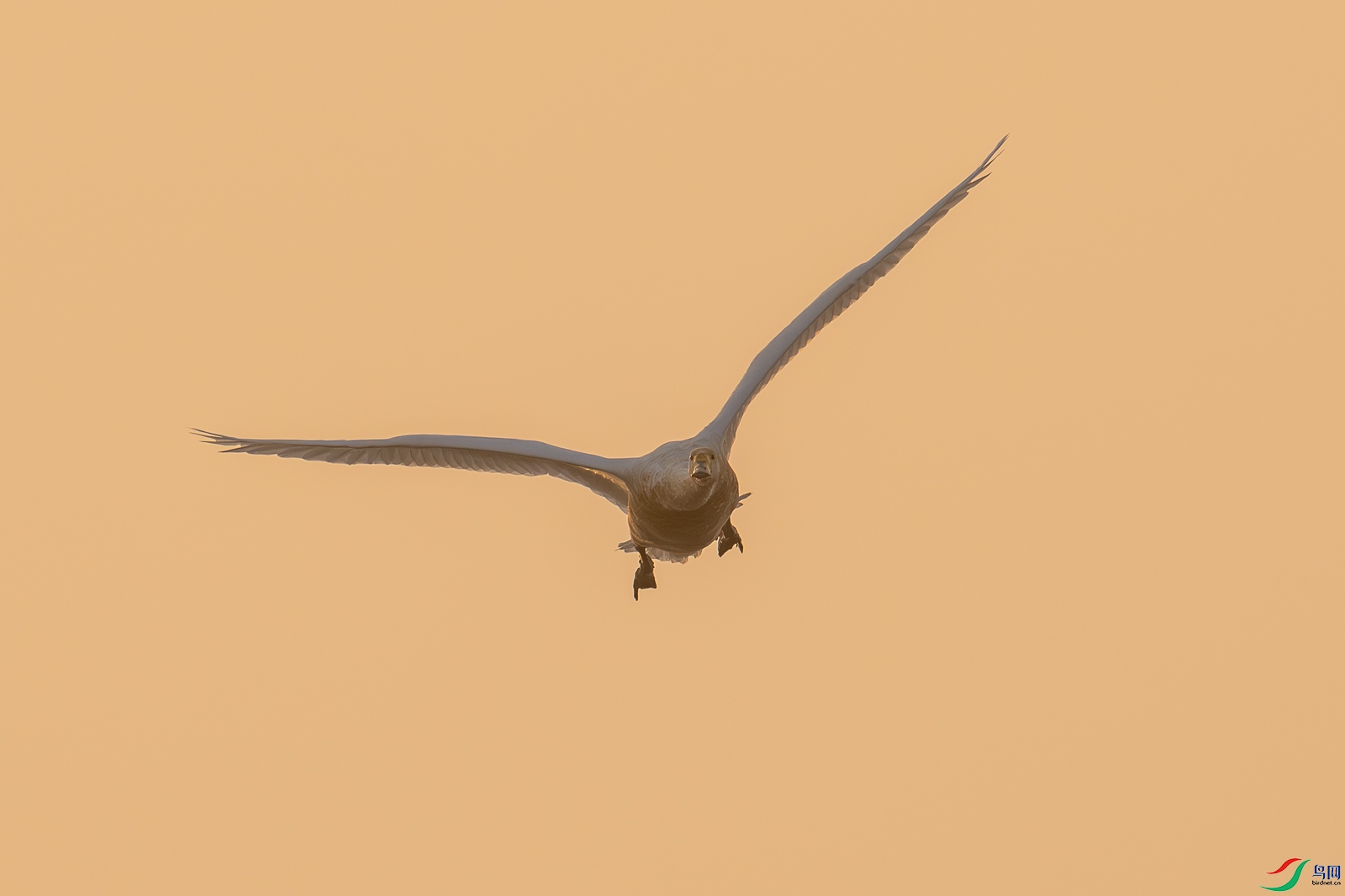 _Z9B5355.jpg