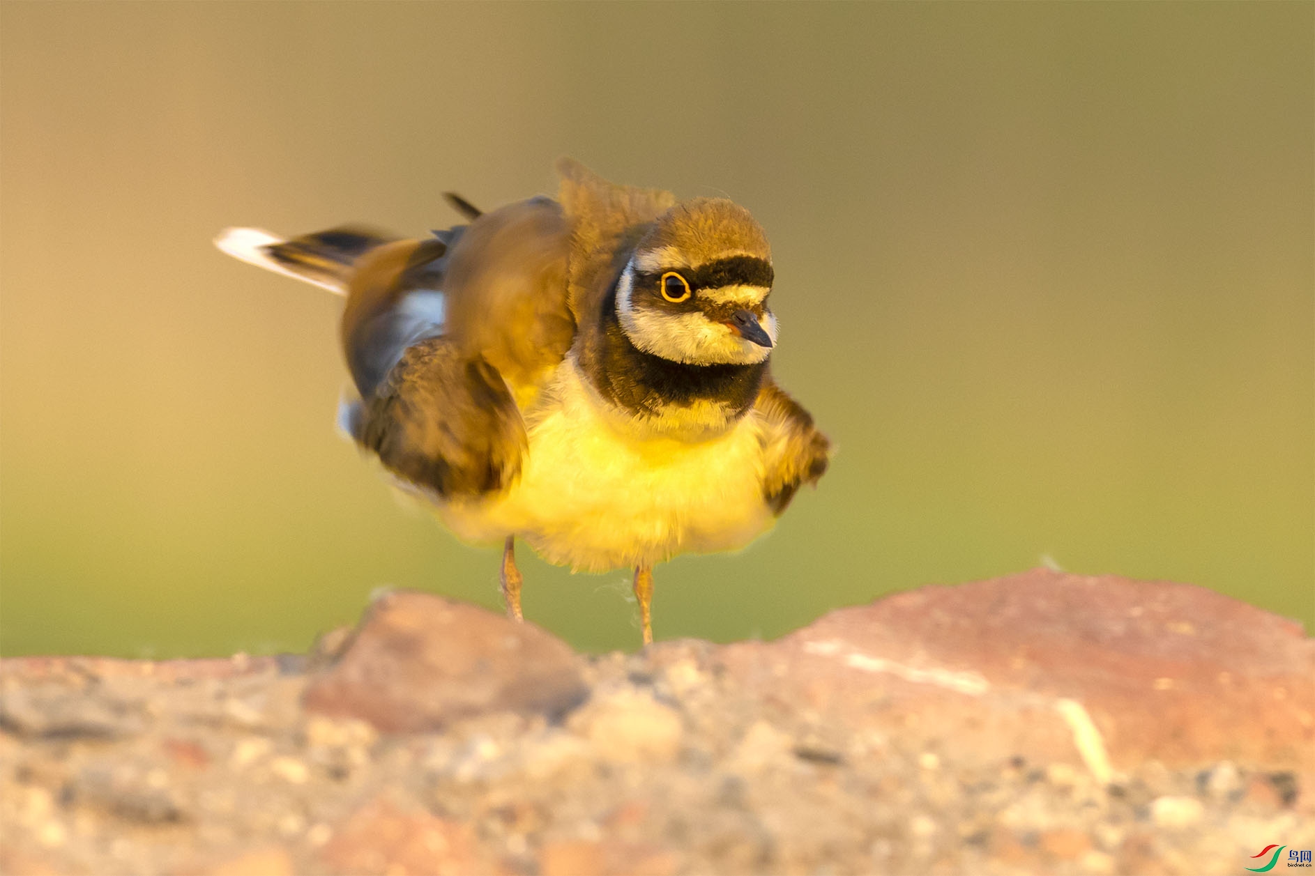 JHGS7573 ����.jpg