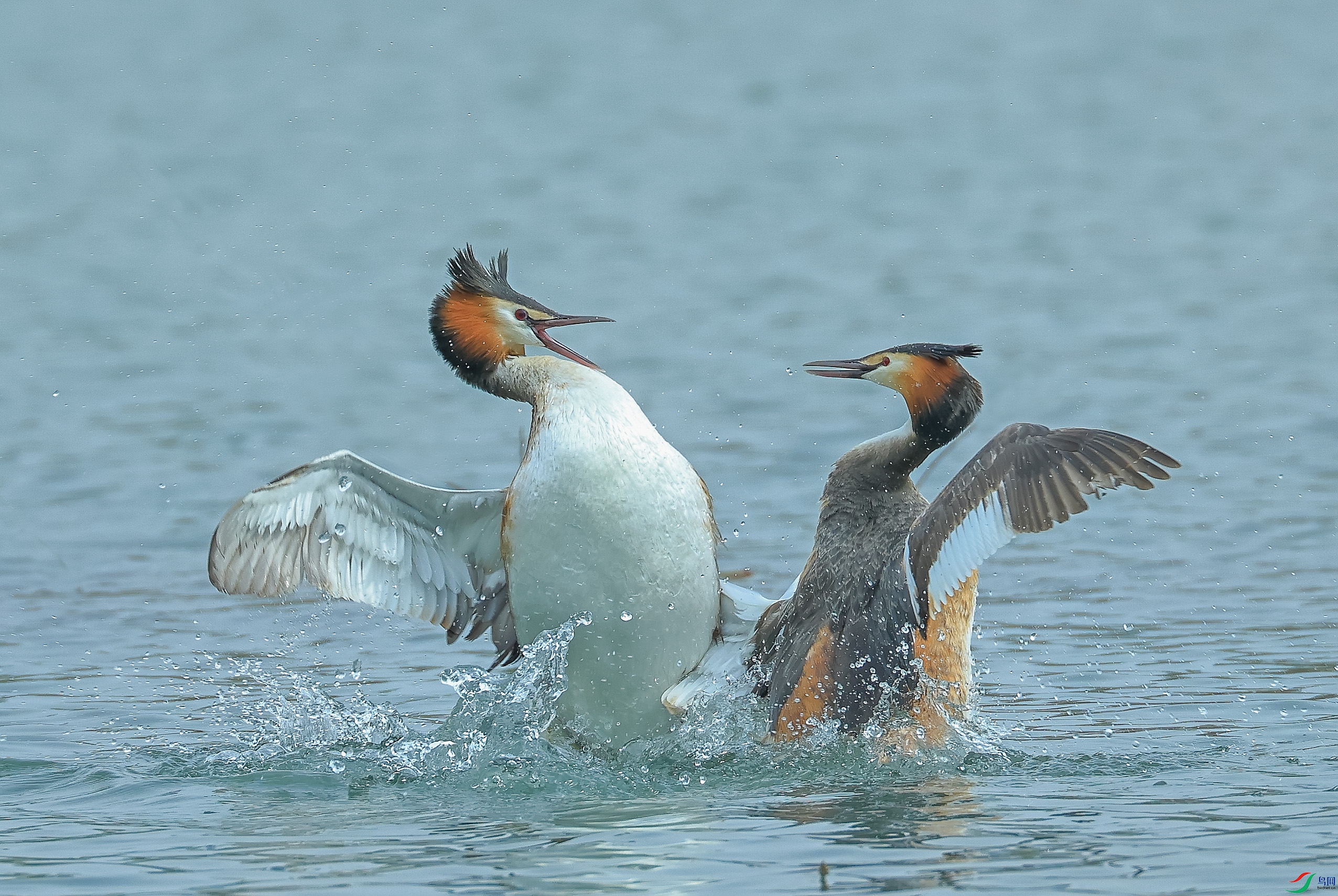 L10A0010 ����.jpg