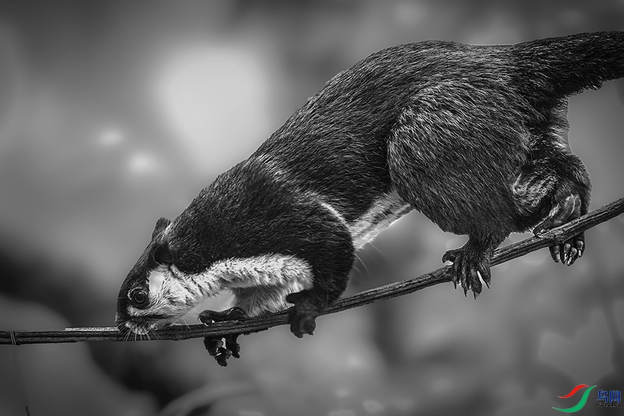 0R5A4462 ����.jpg