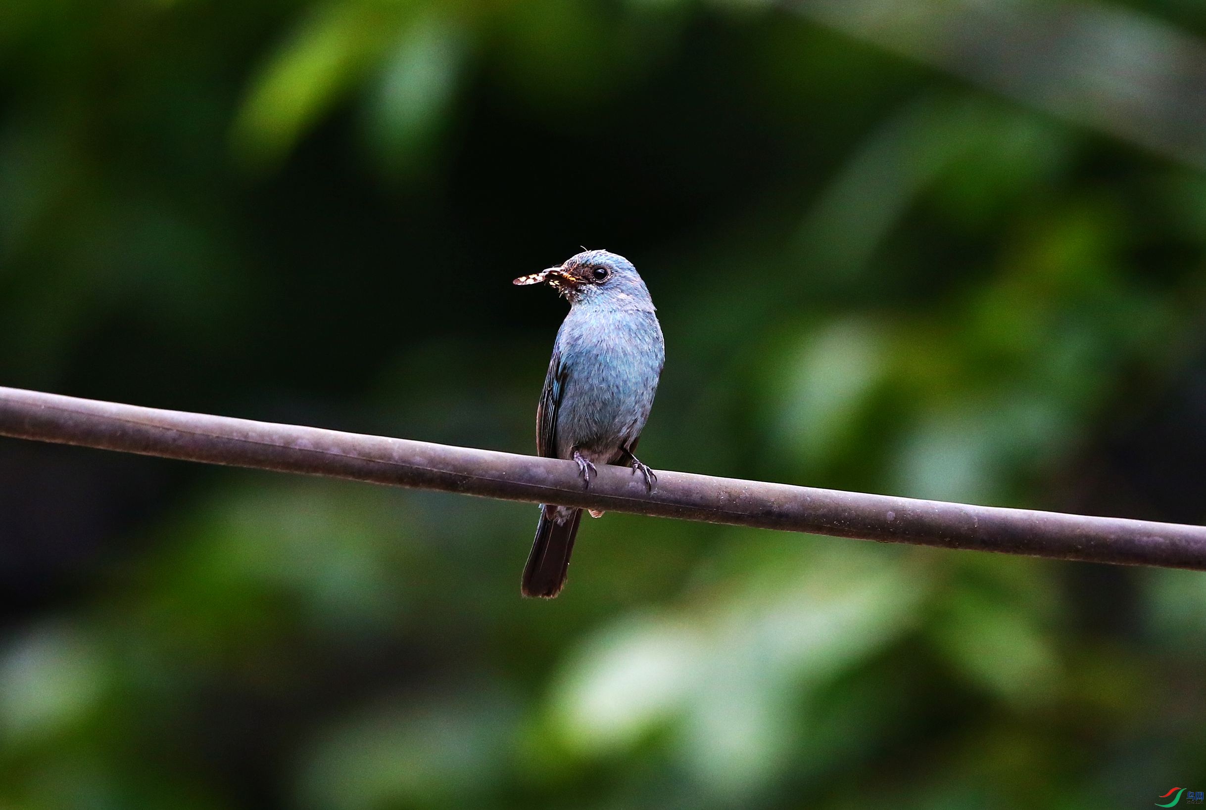 ͭ���l (14).JPG