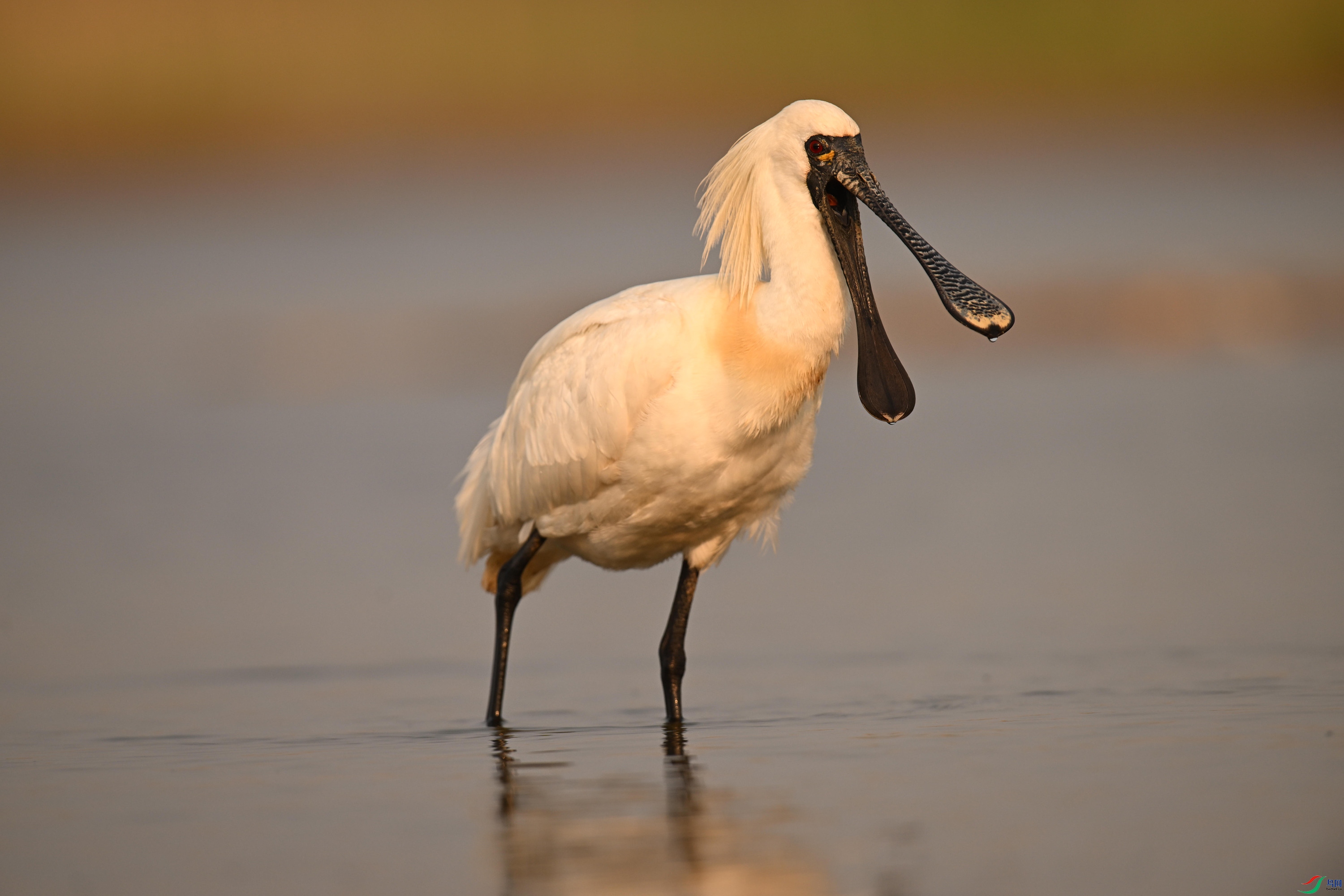 �������� (15).jpg