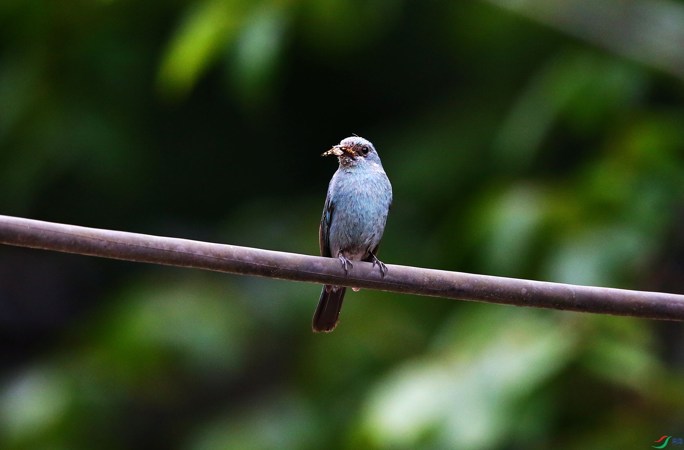 ͭ���l (17).JPG