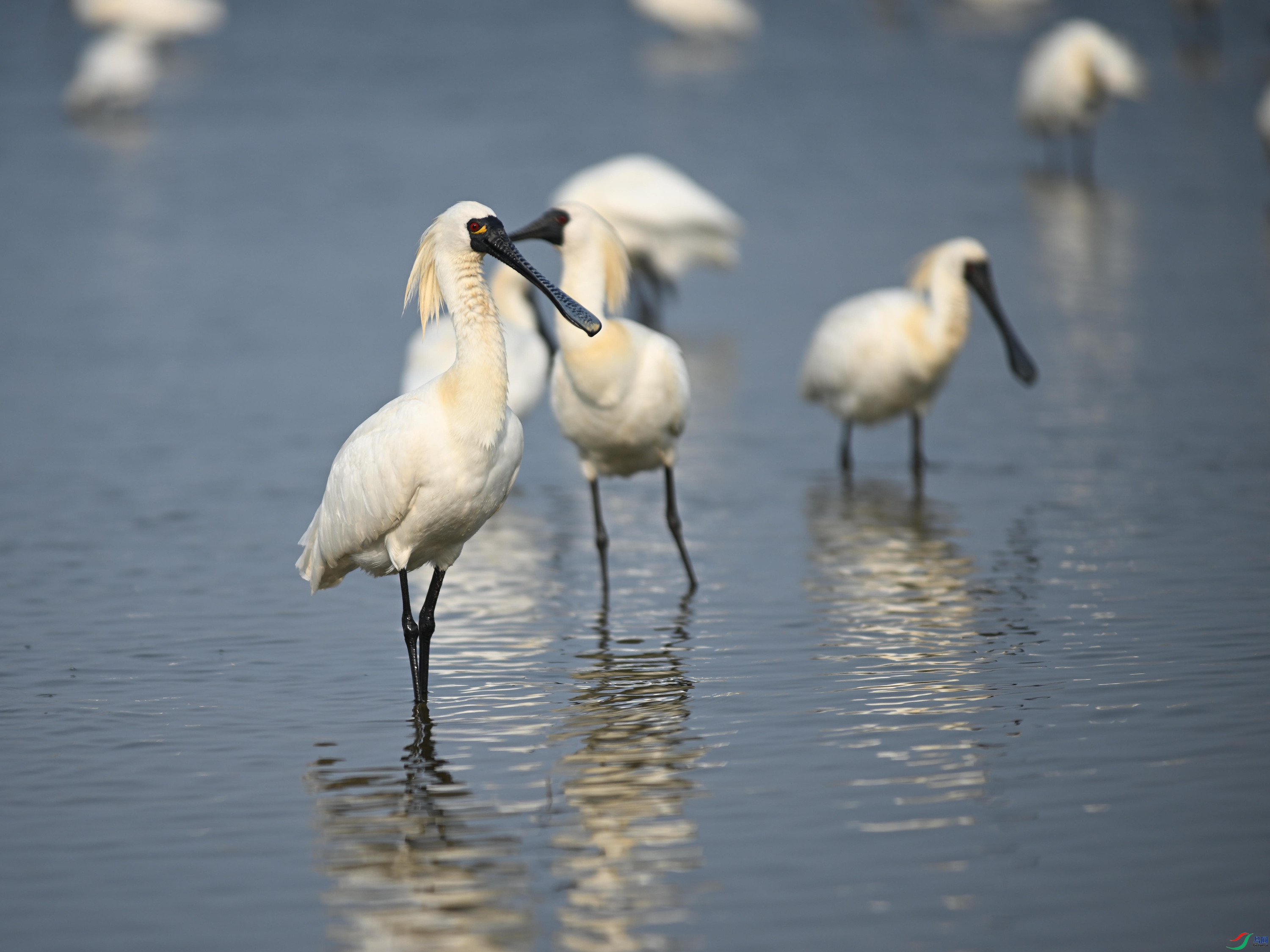 �������� (23).jpg