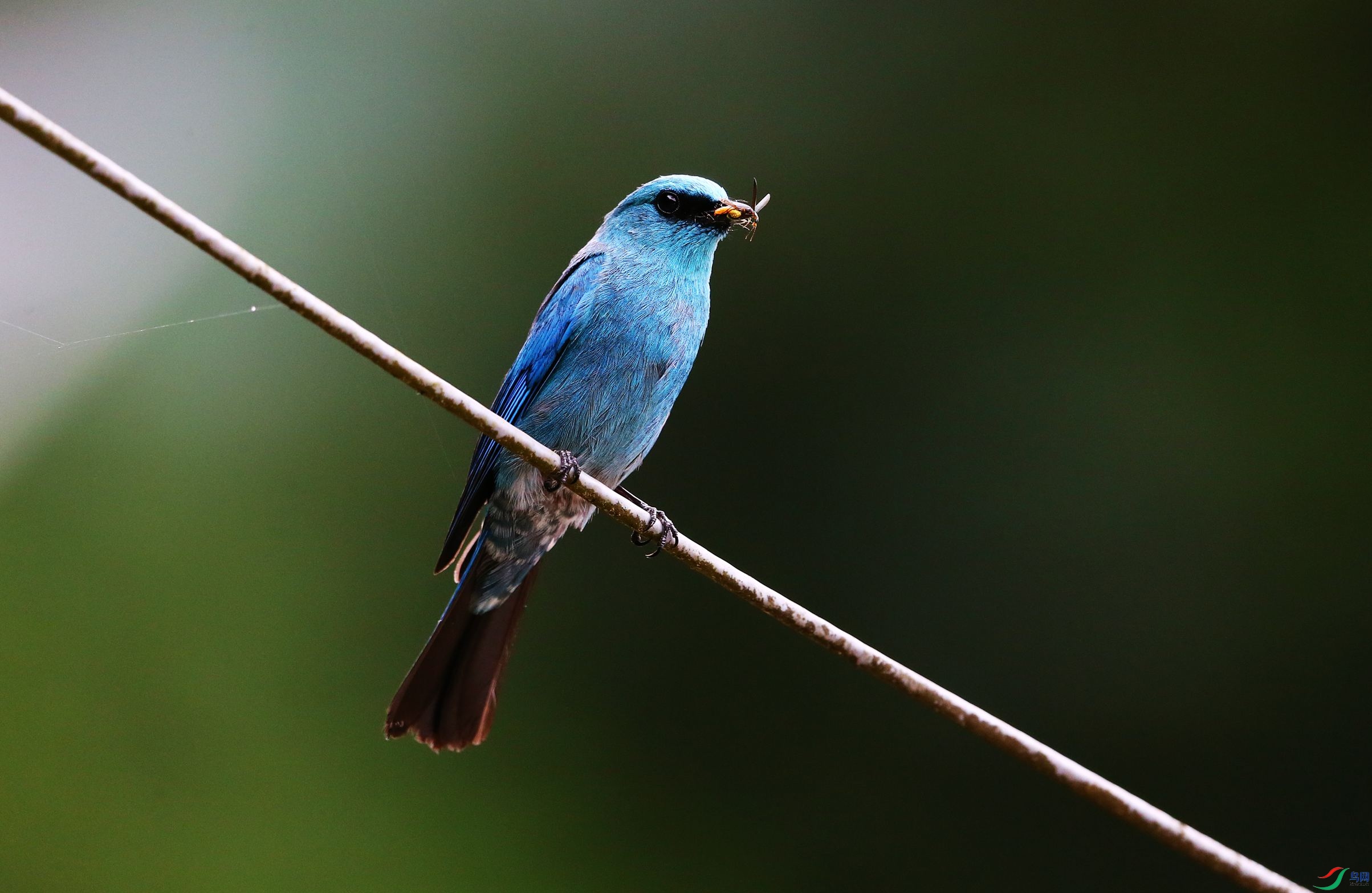 ͭ���l (18).JPG