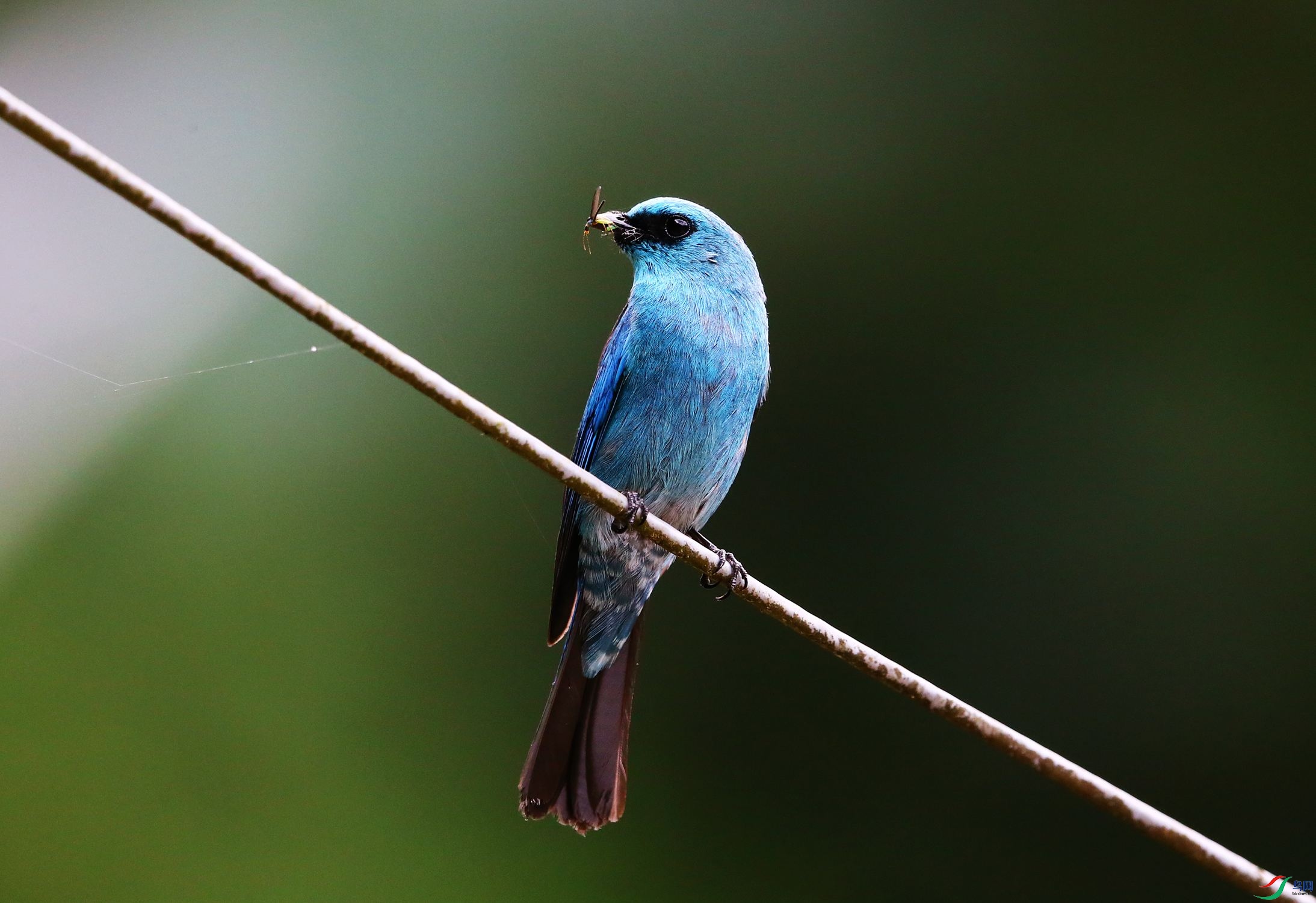 ͭ���l (19).JPG