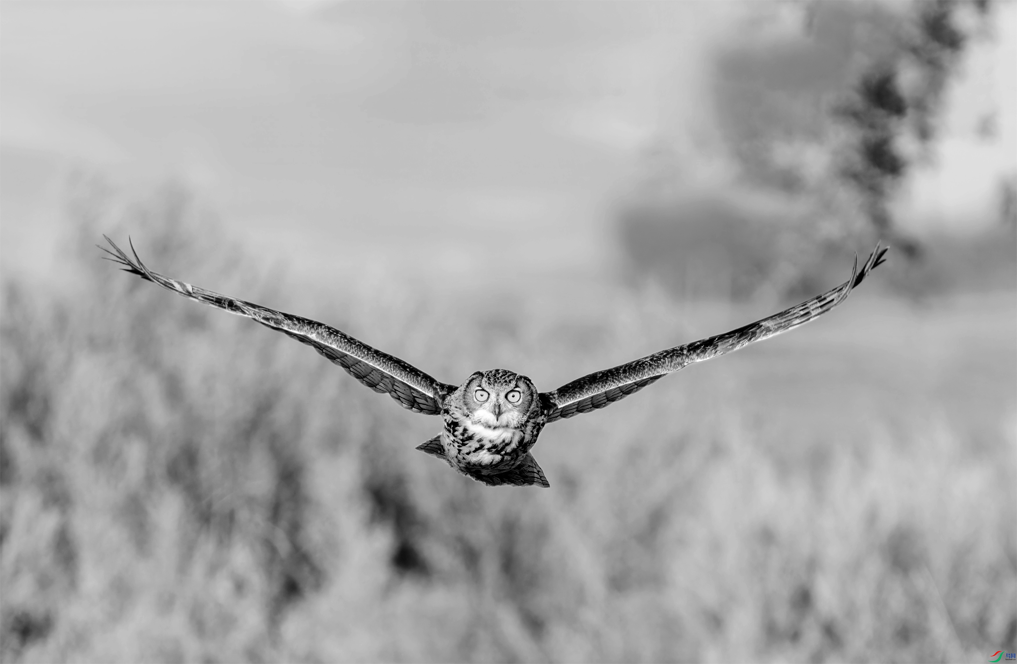 DSC05309 ����_����.jpg