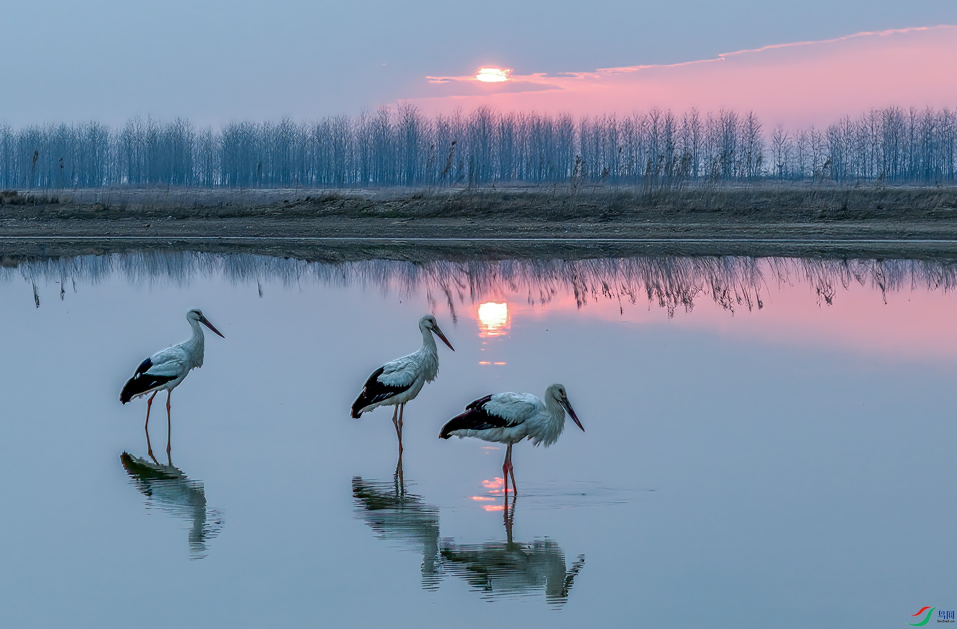 DJI_20250210071132_0181_D-����ǿ-NR ����-Sh====33  .jpg