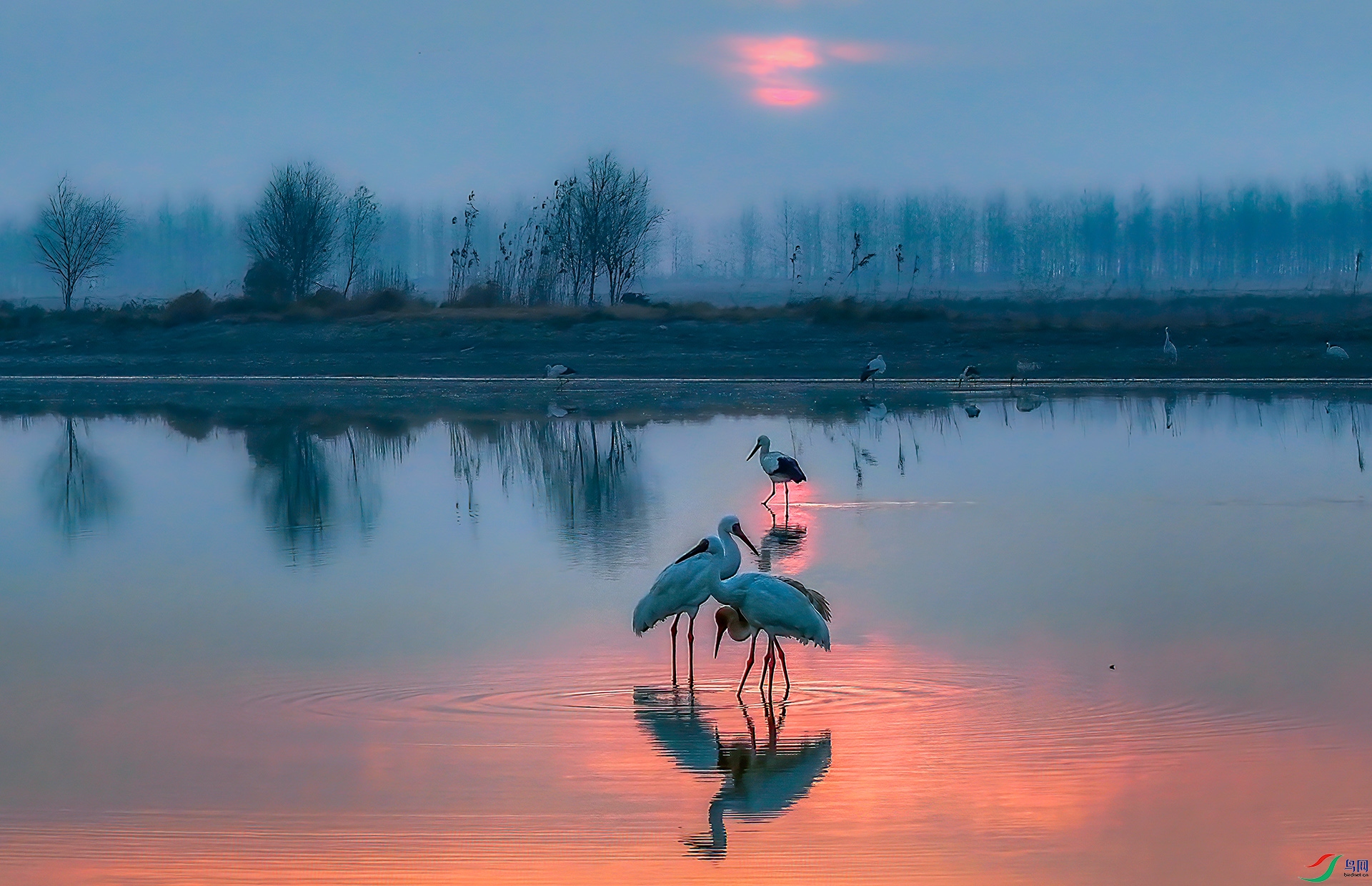 DJI_20250120072358_0038_D ����-Sh----33  .jpg