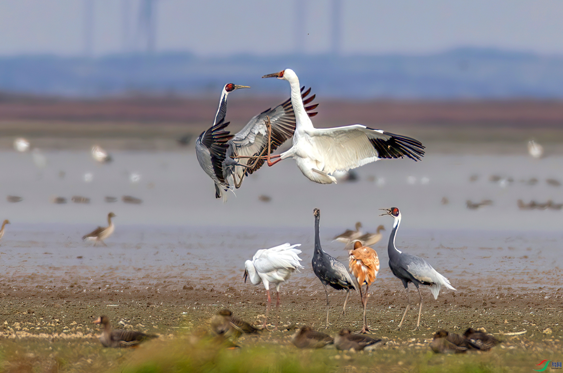 407A9514-----33  .jpg