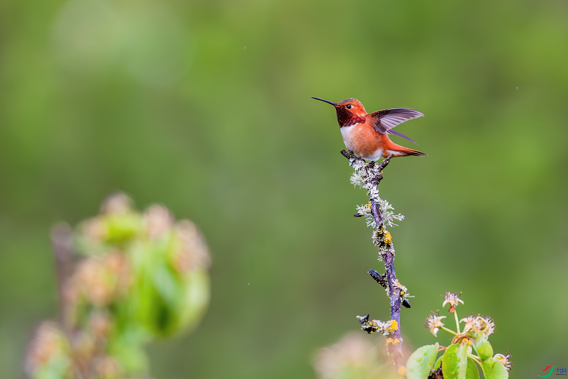 �ػͷ��� 1.jpg