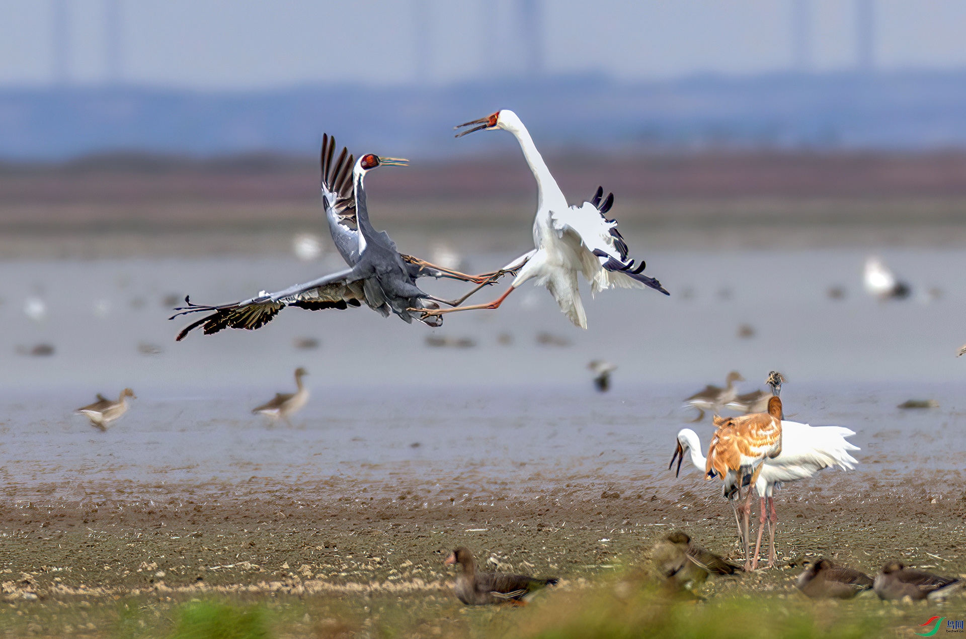 407A9491----33  .jpg