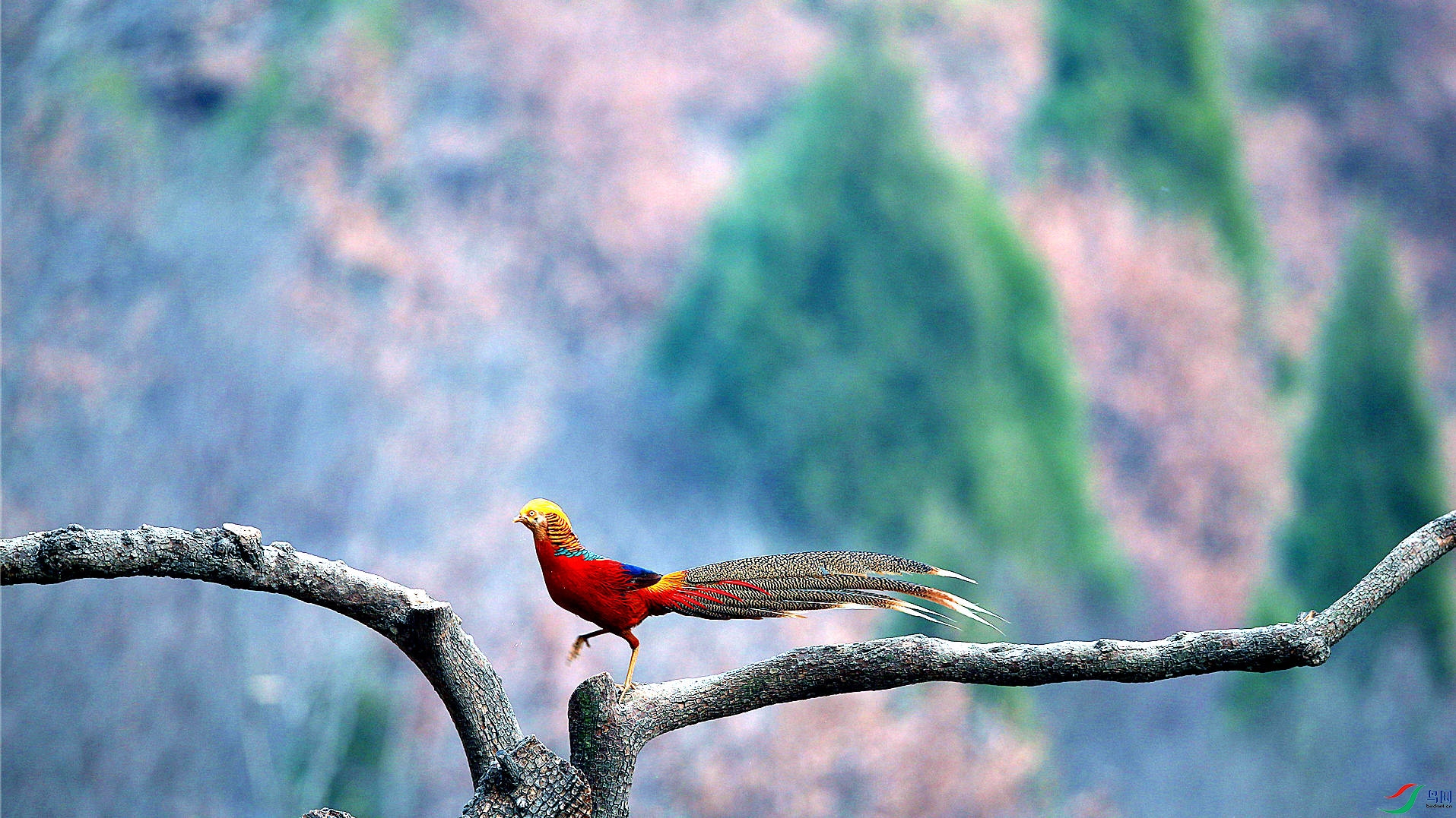 H46R5178_���� (2).jpg