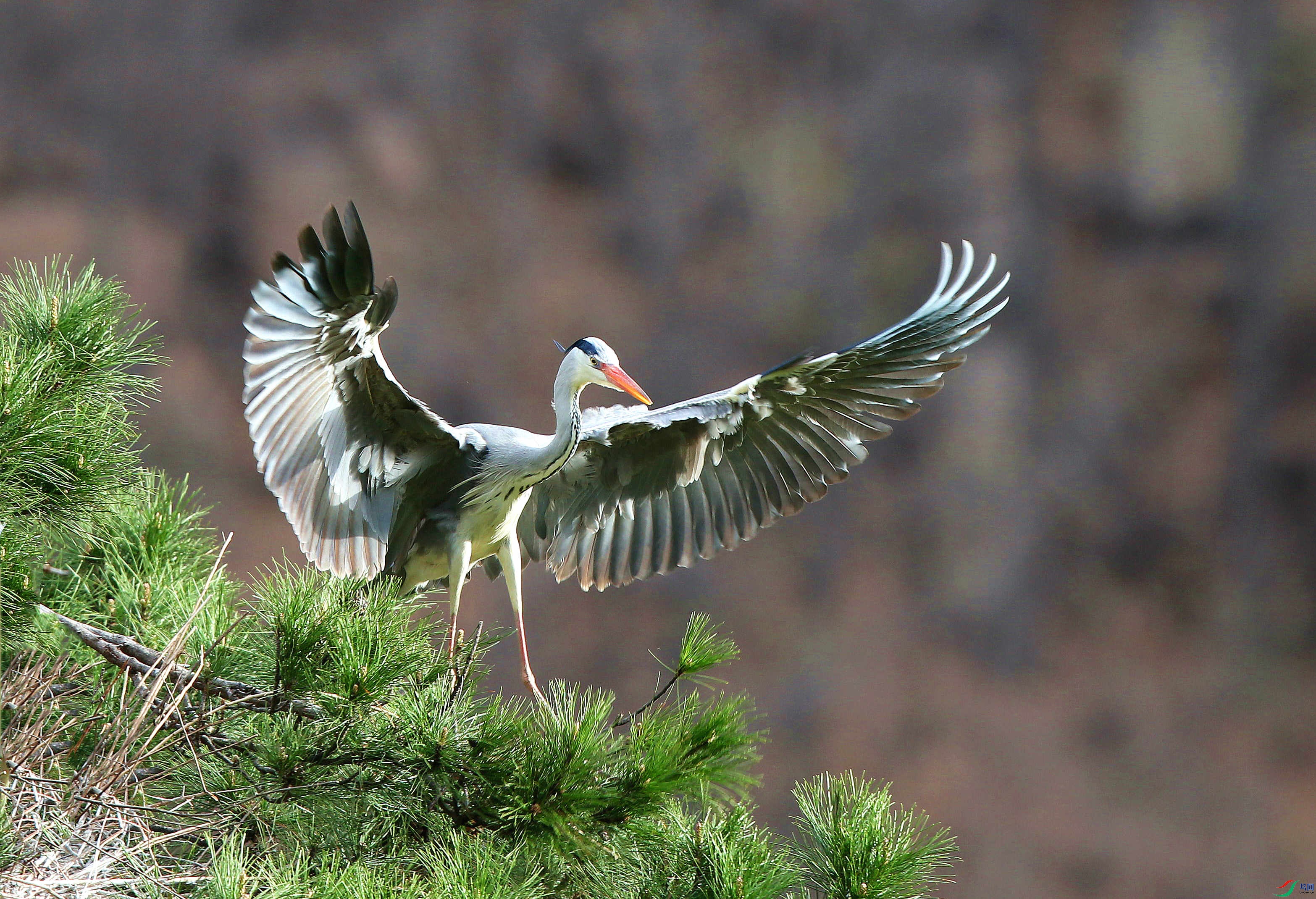 H46R7947_���� (2).jpg