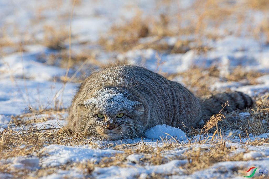 nmgksktR3251231 (8182).jpg