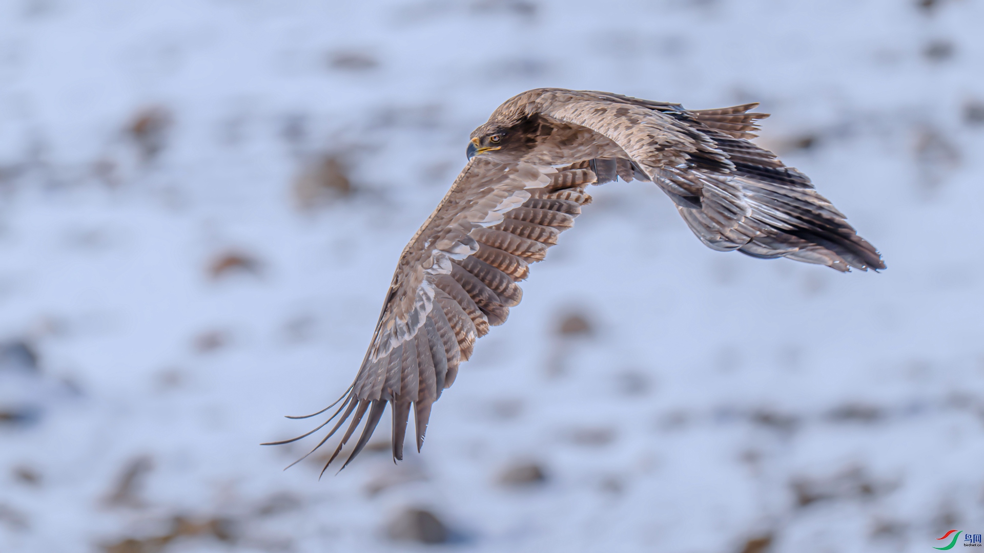 DSC_1732 ���� 2_����.jpg