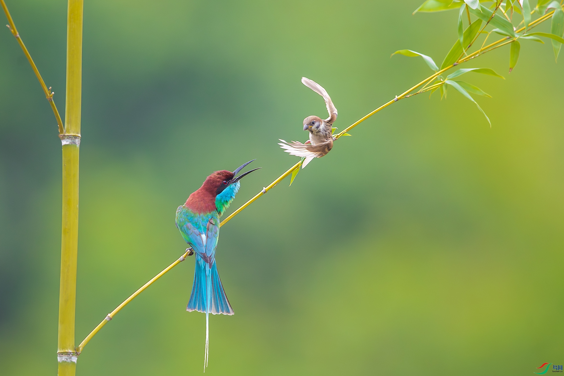 BU3I3466 ����.jpg