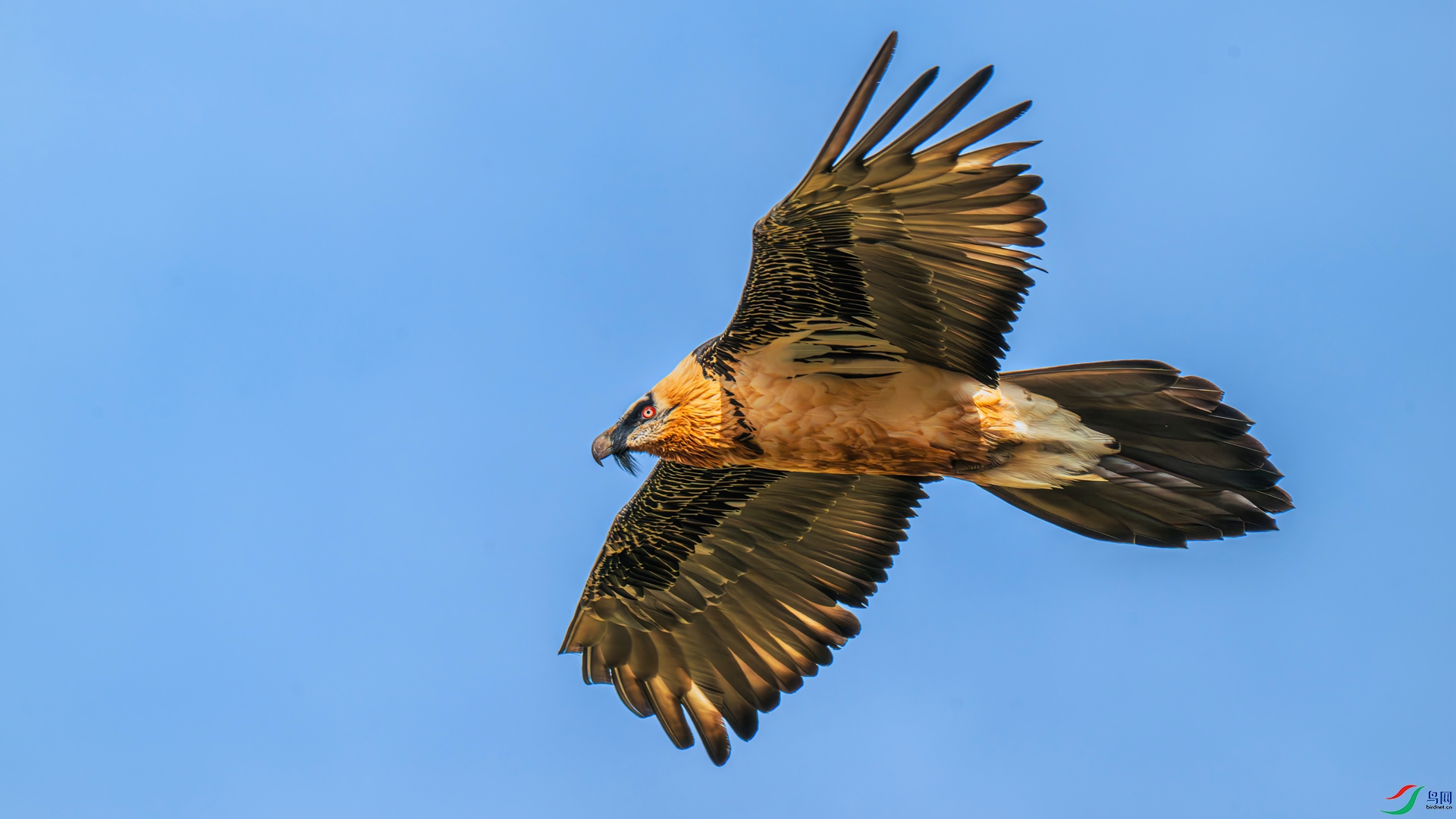 DSC_1849 ����_����.jpg