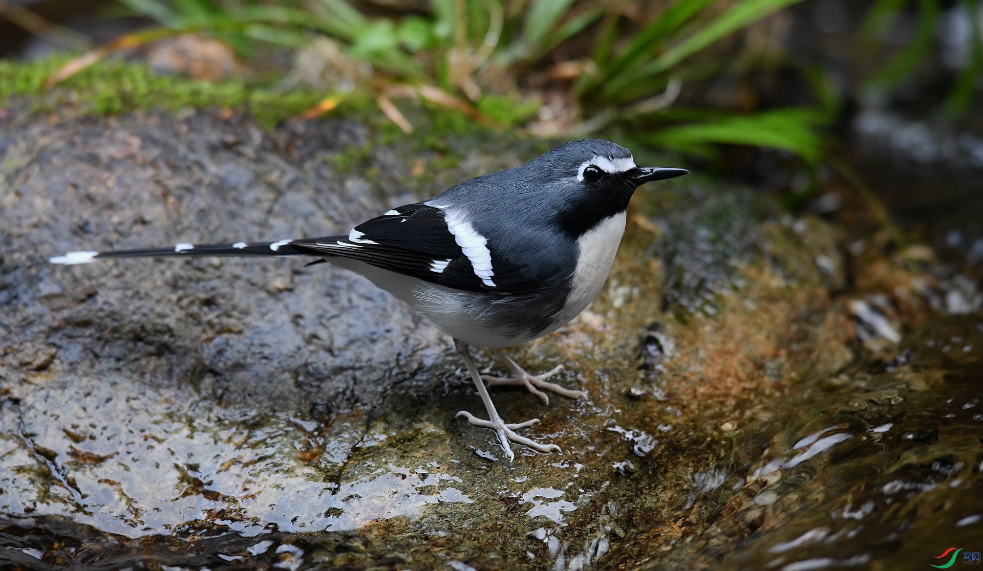 DSC_3017.jpg