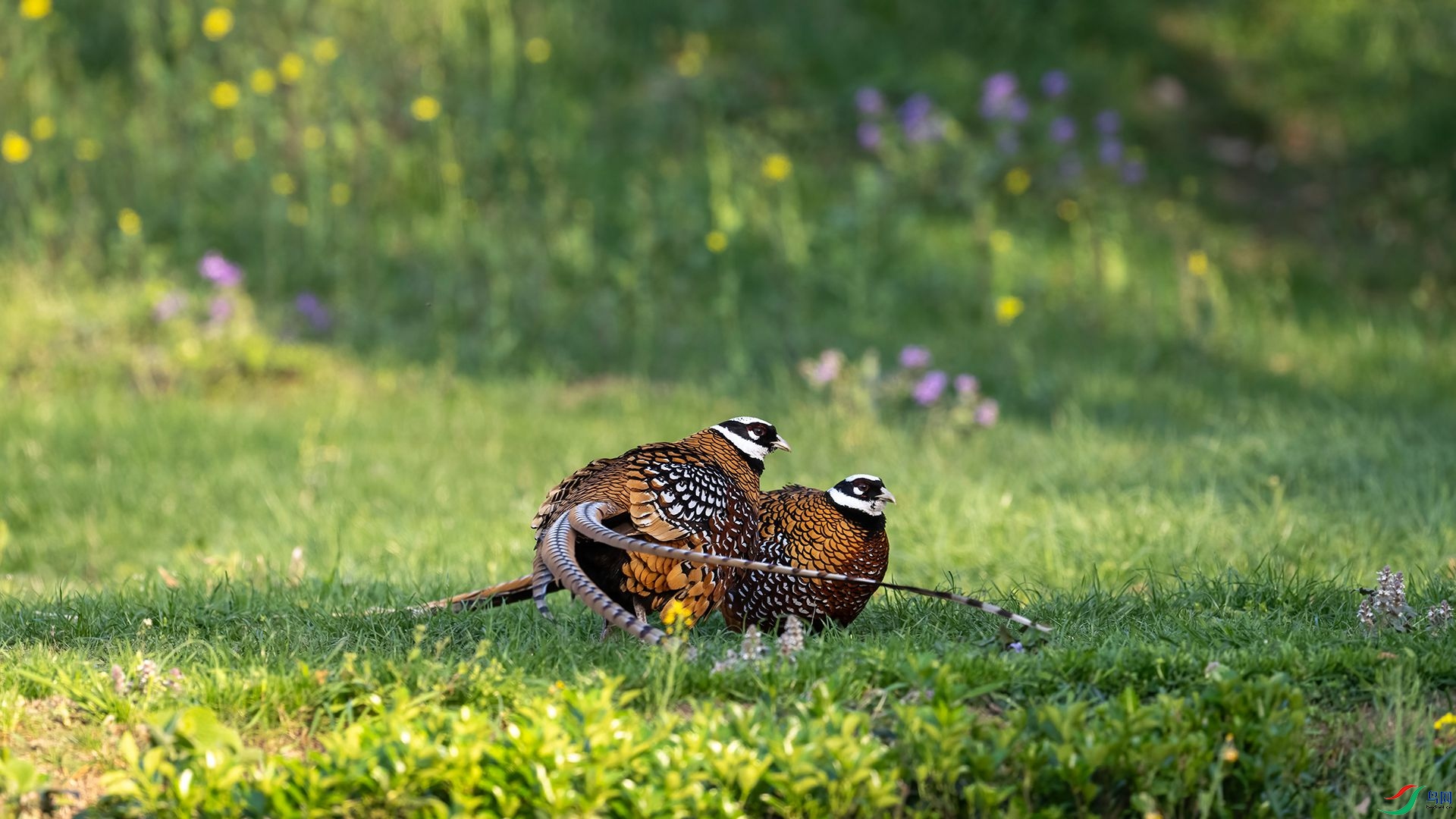 _DSC5211 ����.jpg