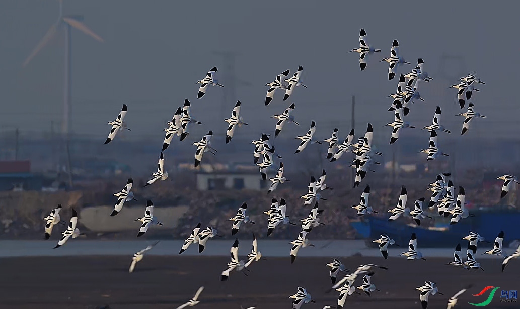 {65C5F51A-9593-4375-B8A7-982872F6F3C8} ����.jpg