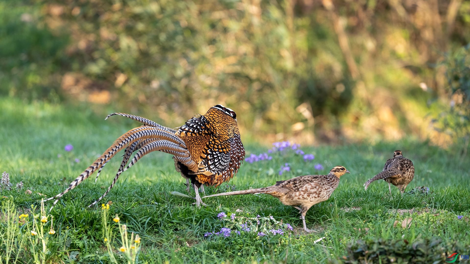 _DSC5515 ����.jpg