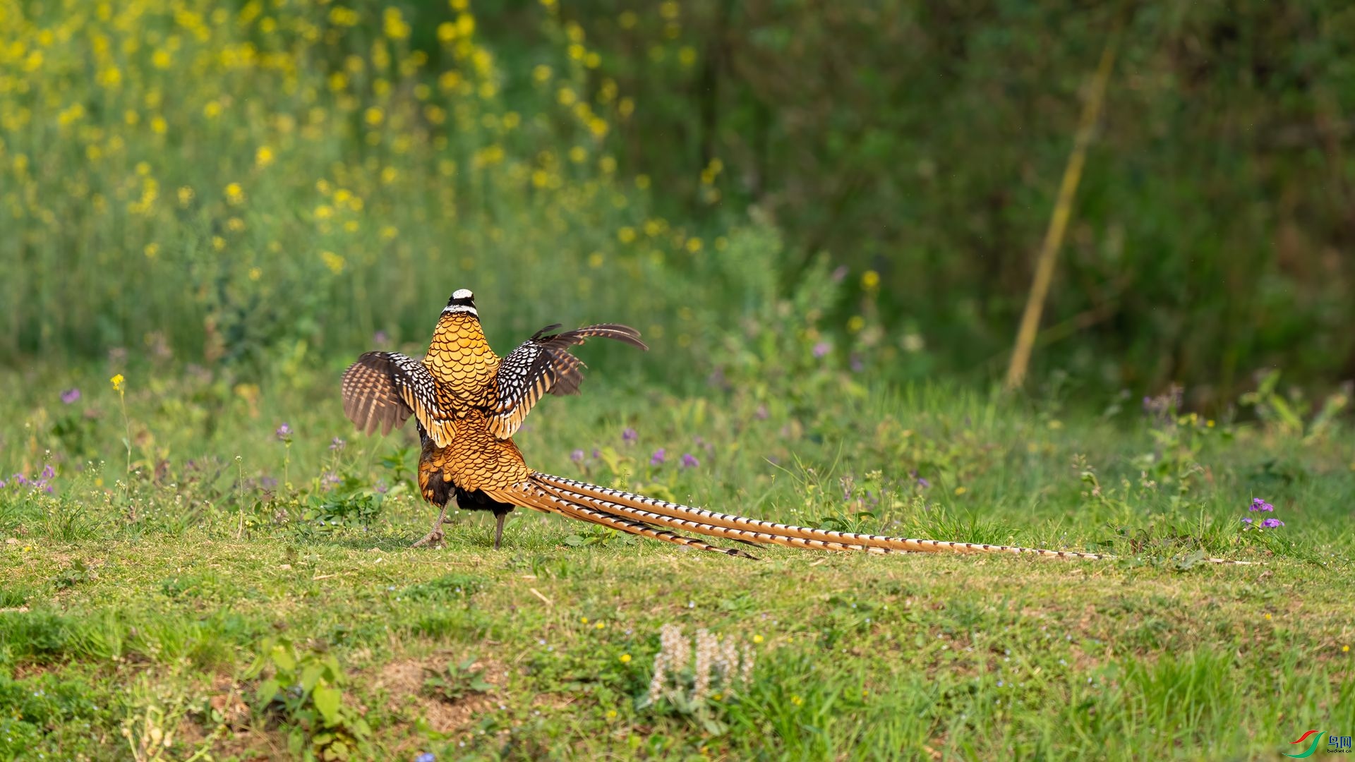 DSC02322 ����.jpg