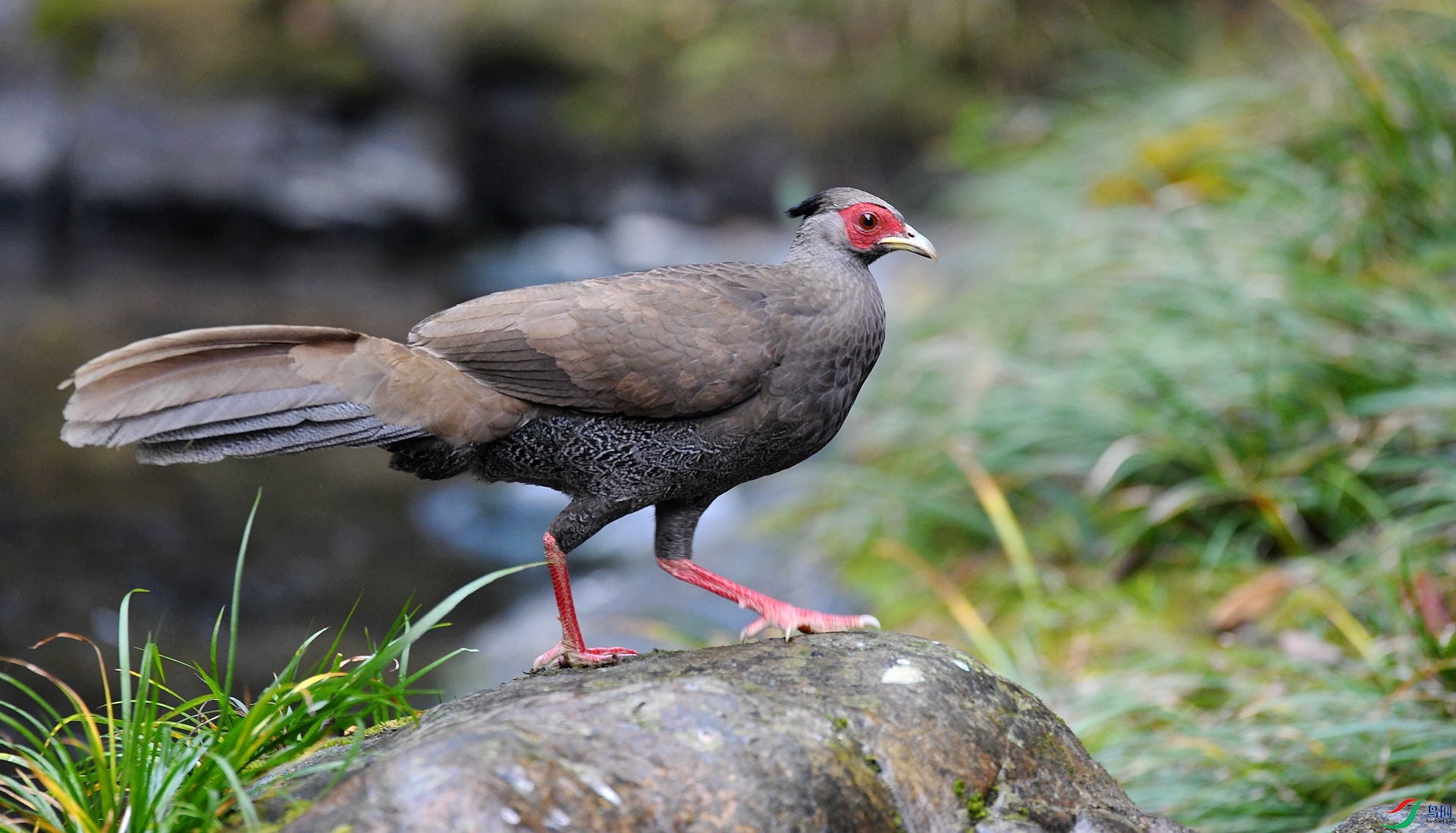 DSC_7377.jpg