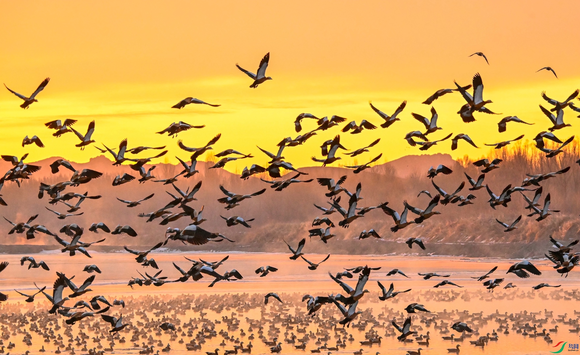 ����Ѽ��