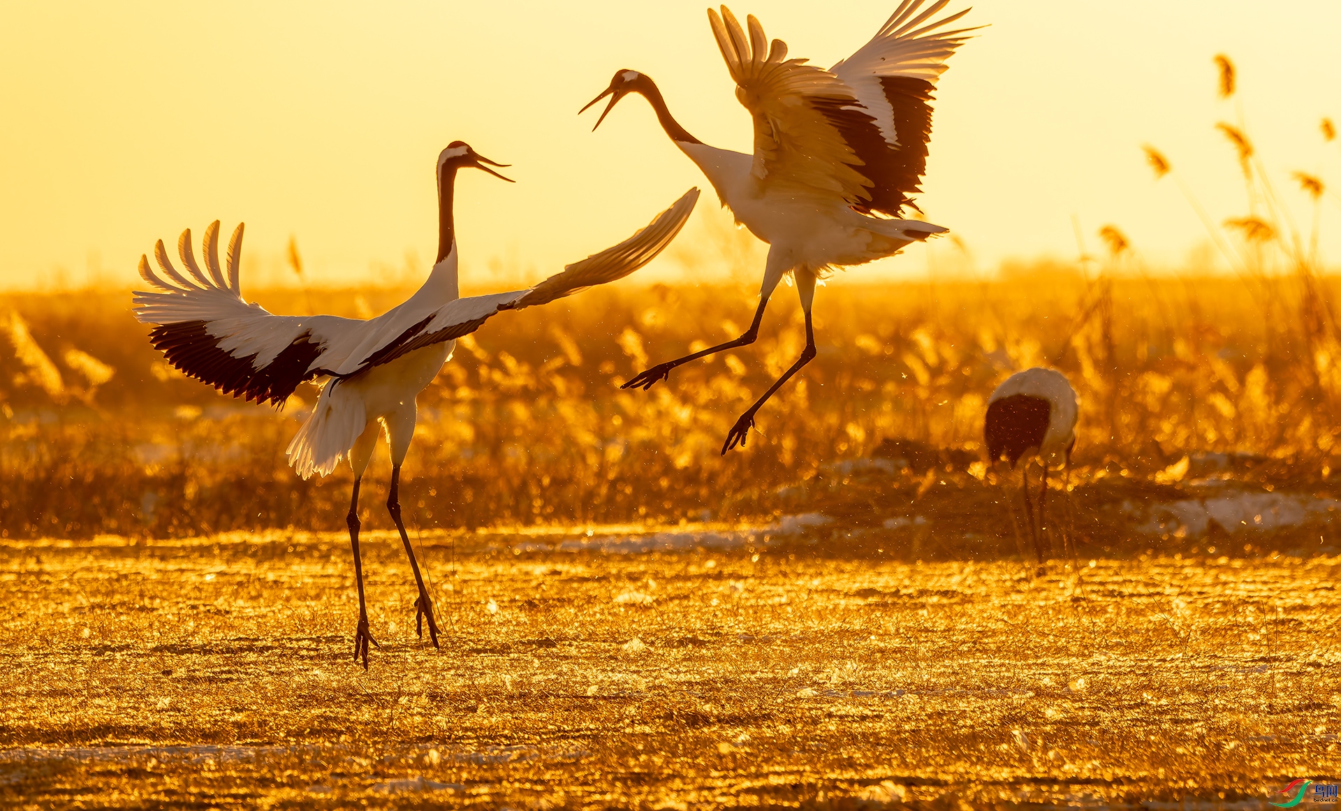 20250208-DSC02642 ����.jpg