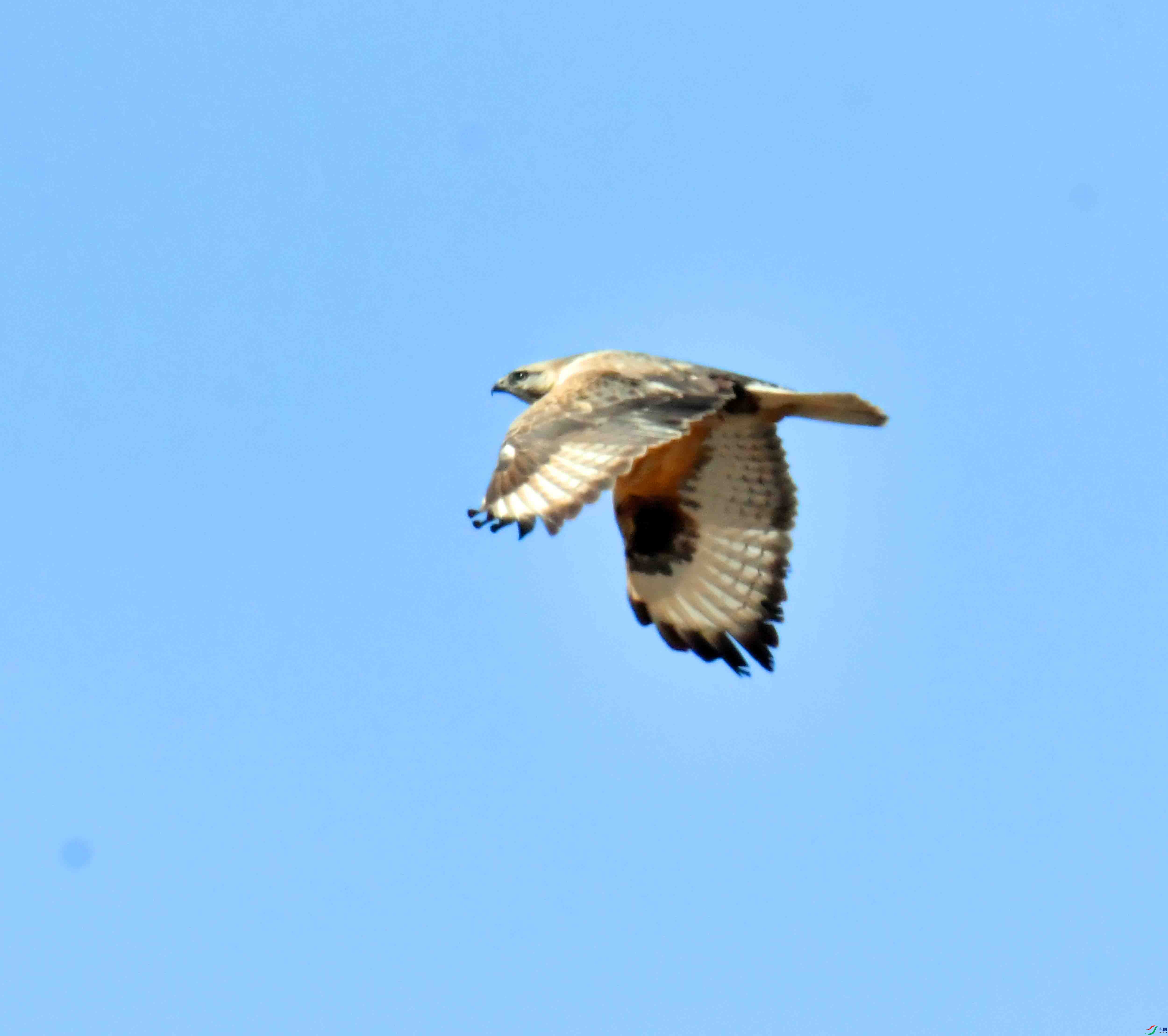 DSC_3646.JPG
