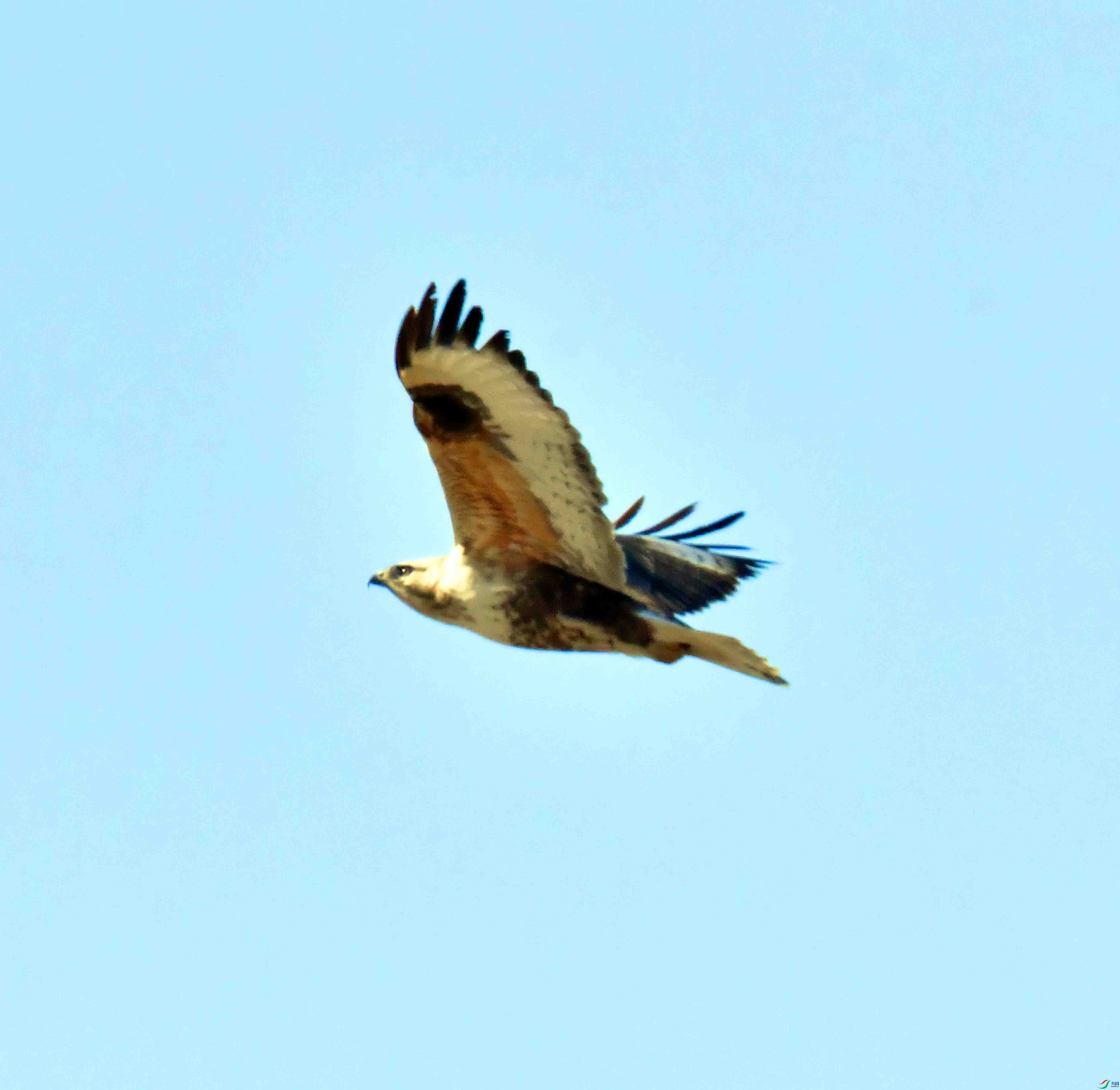 DSC_3650.JPG
