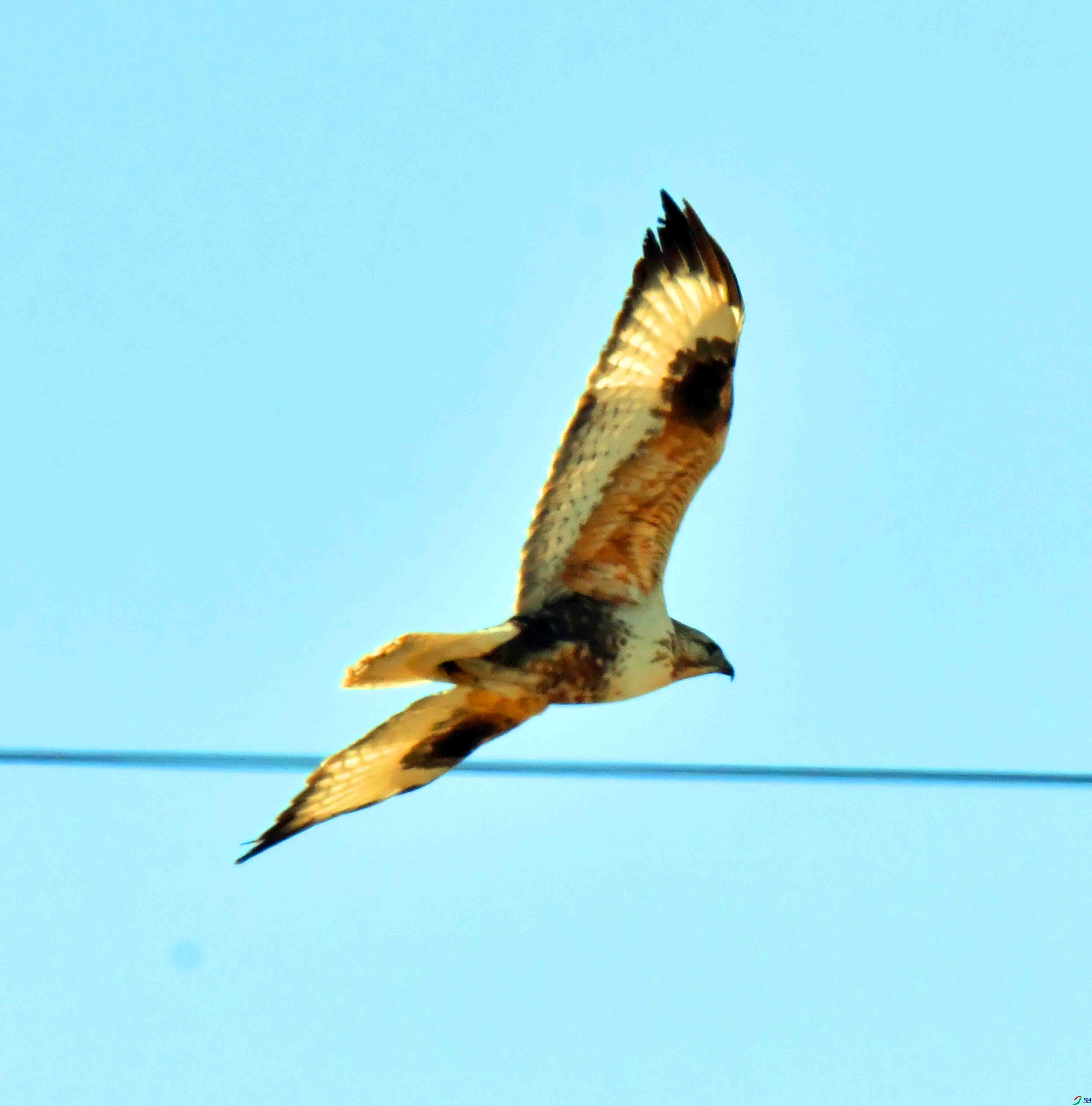 DSC_3645.JPG