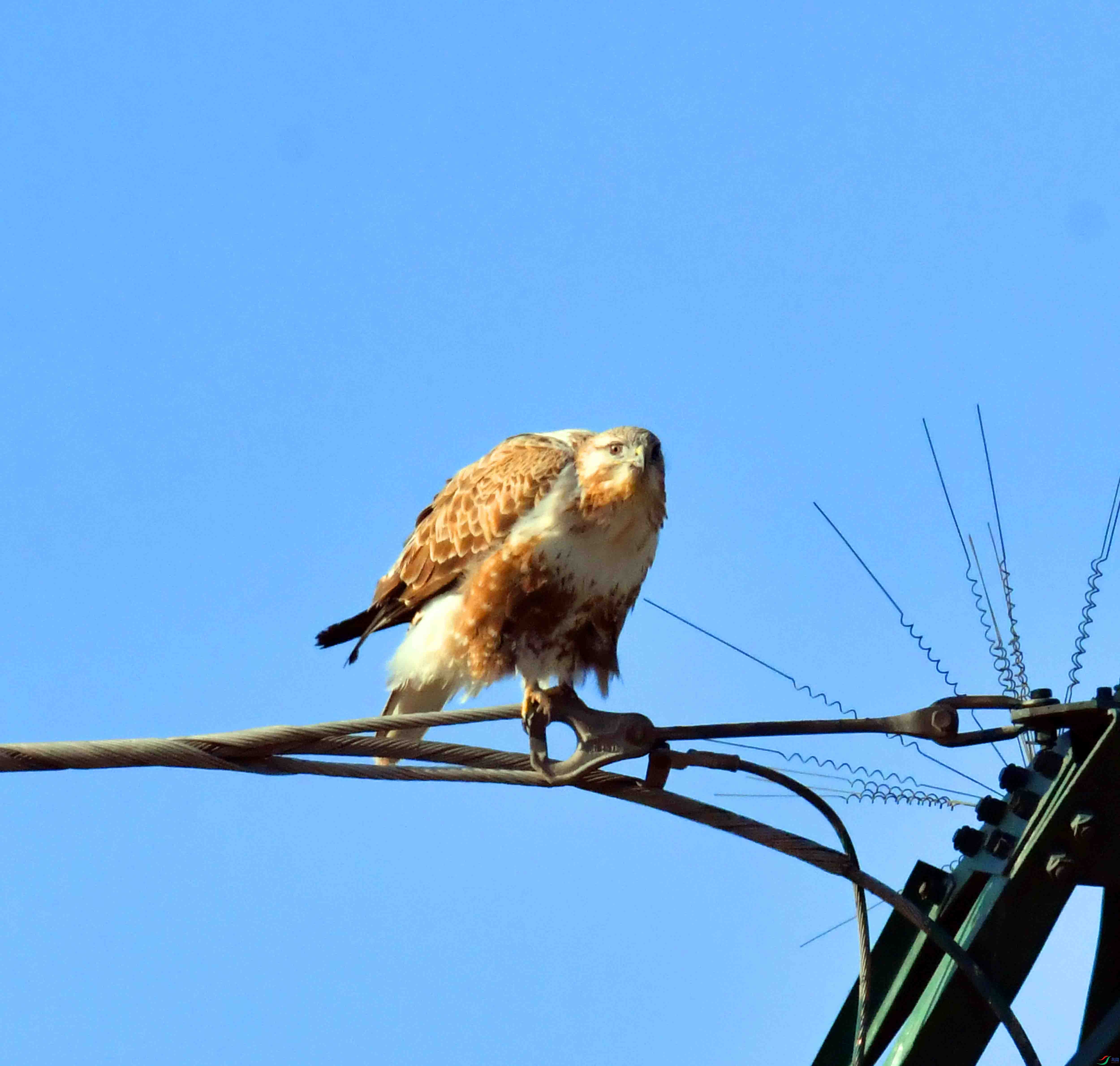 DSC_3730.JPG