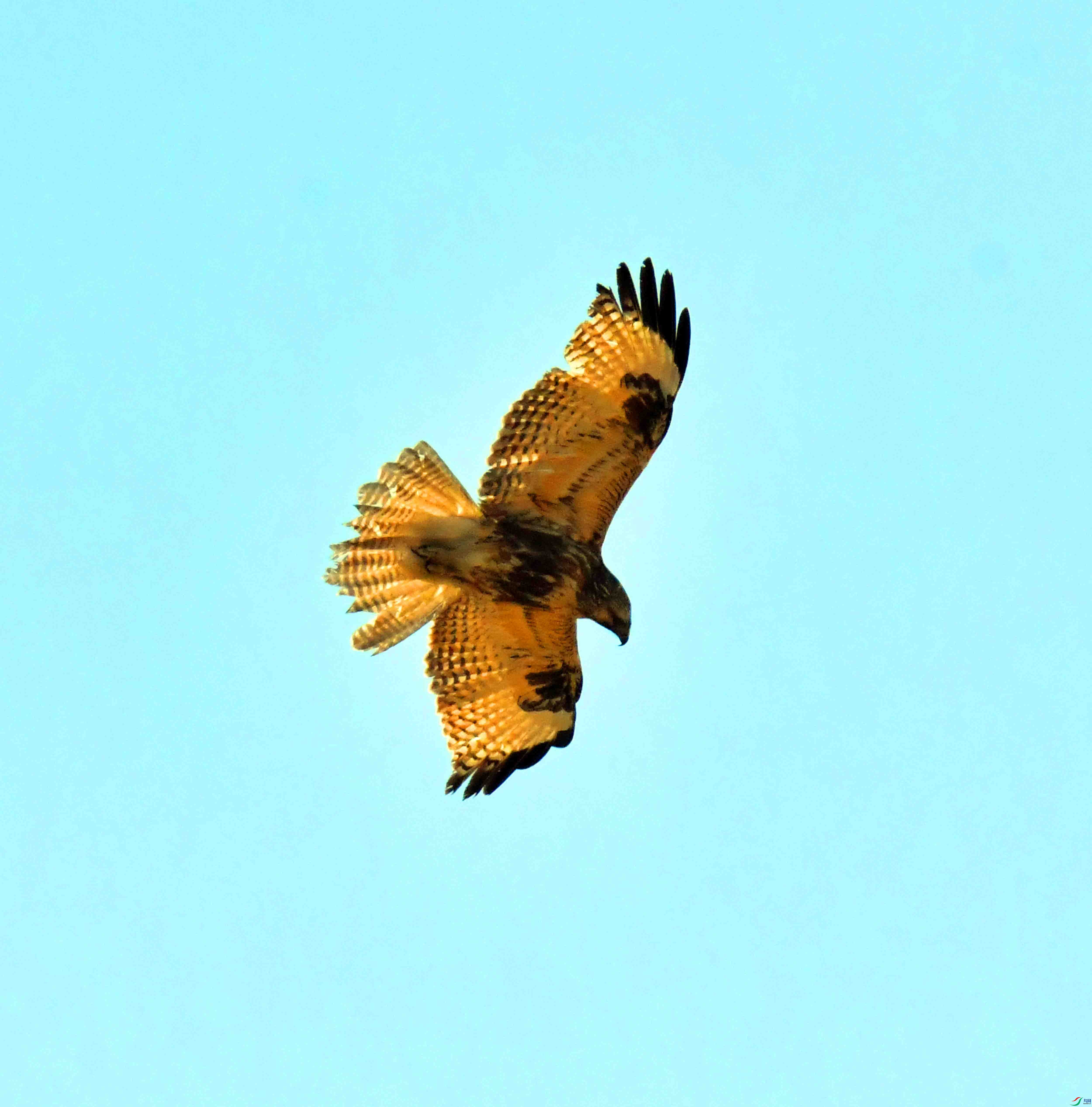DSC_3891.JPG