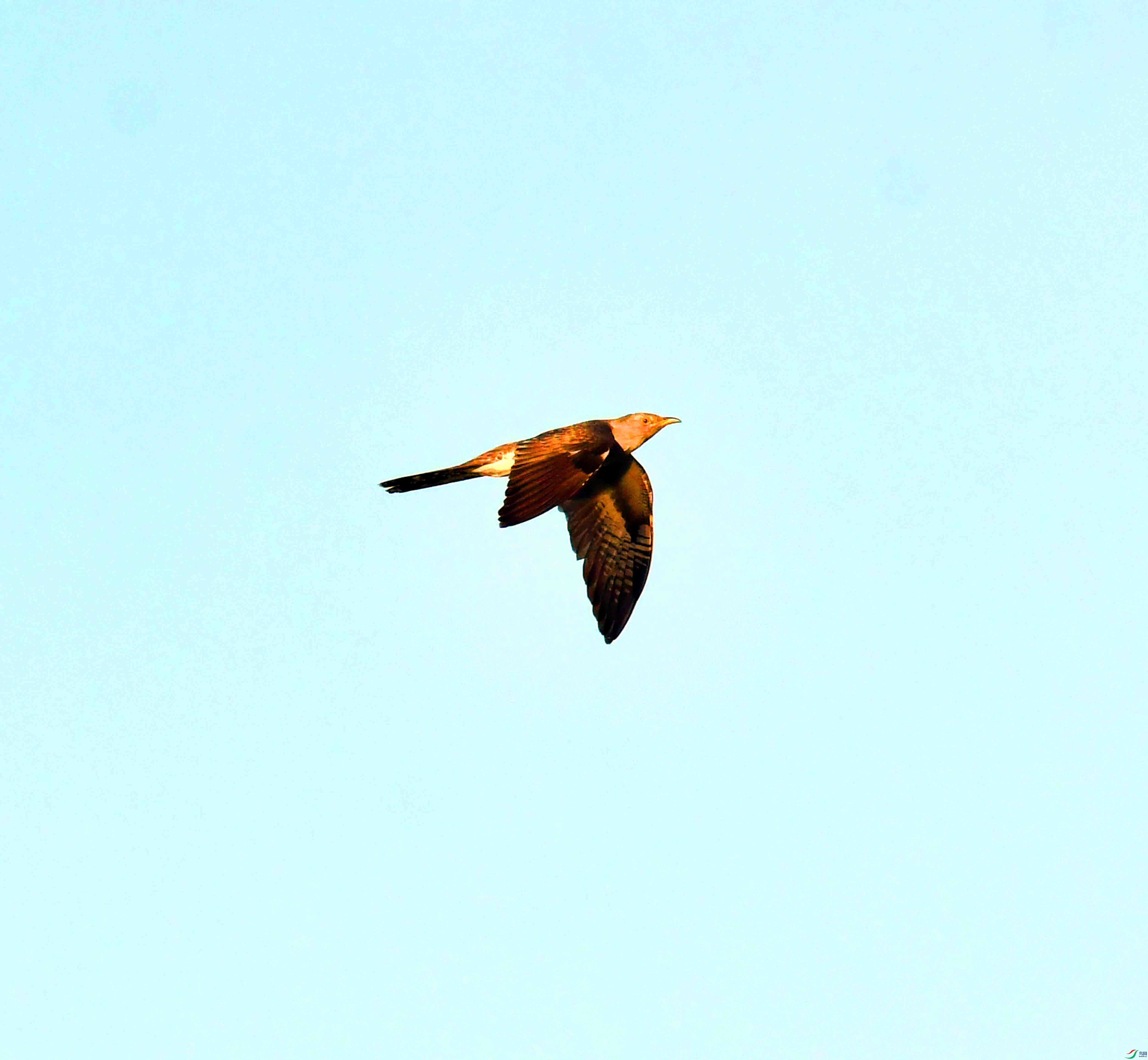 DSC_9318.JPG