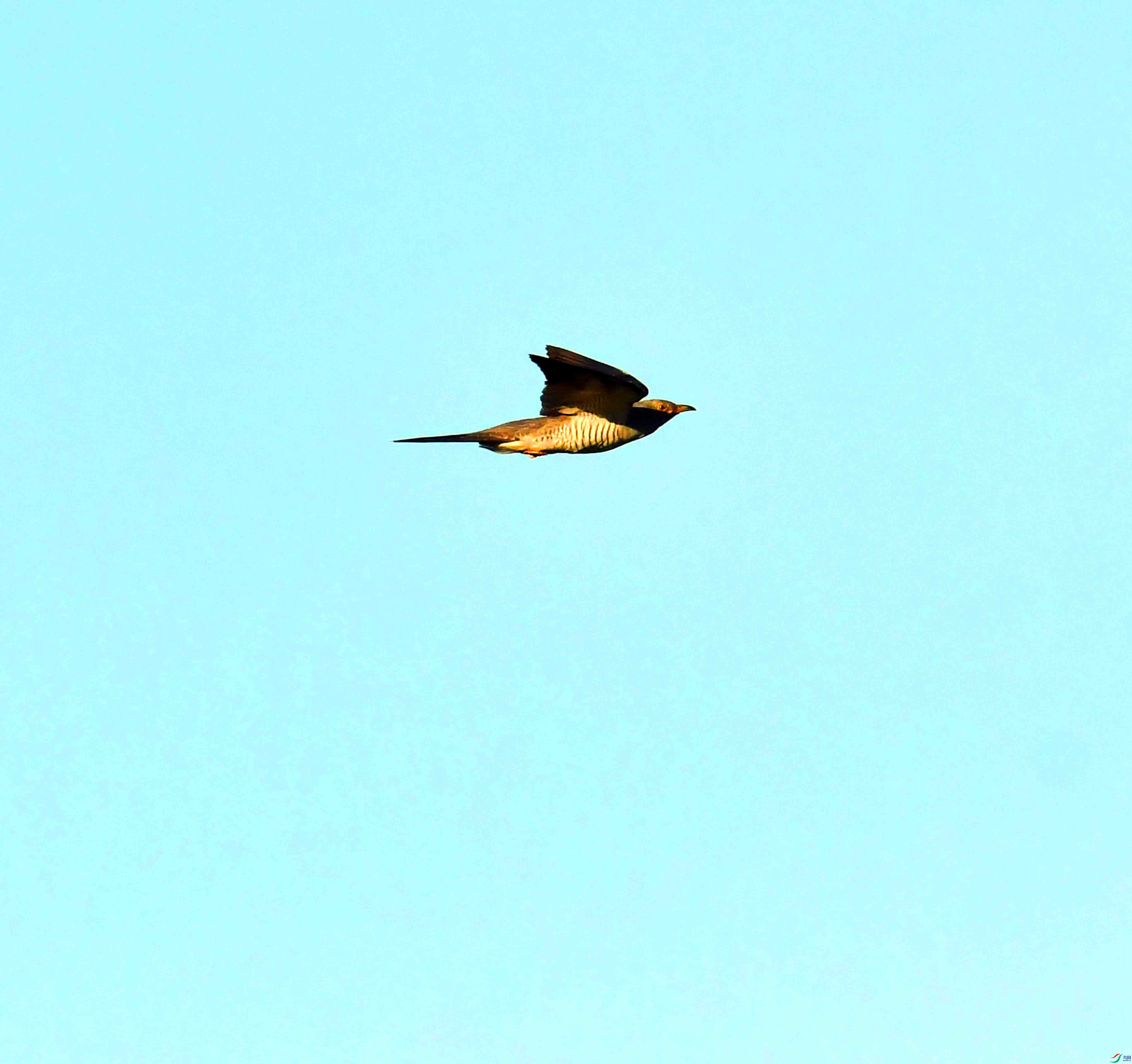 DSC_9314.JPG