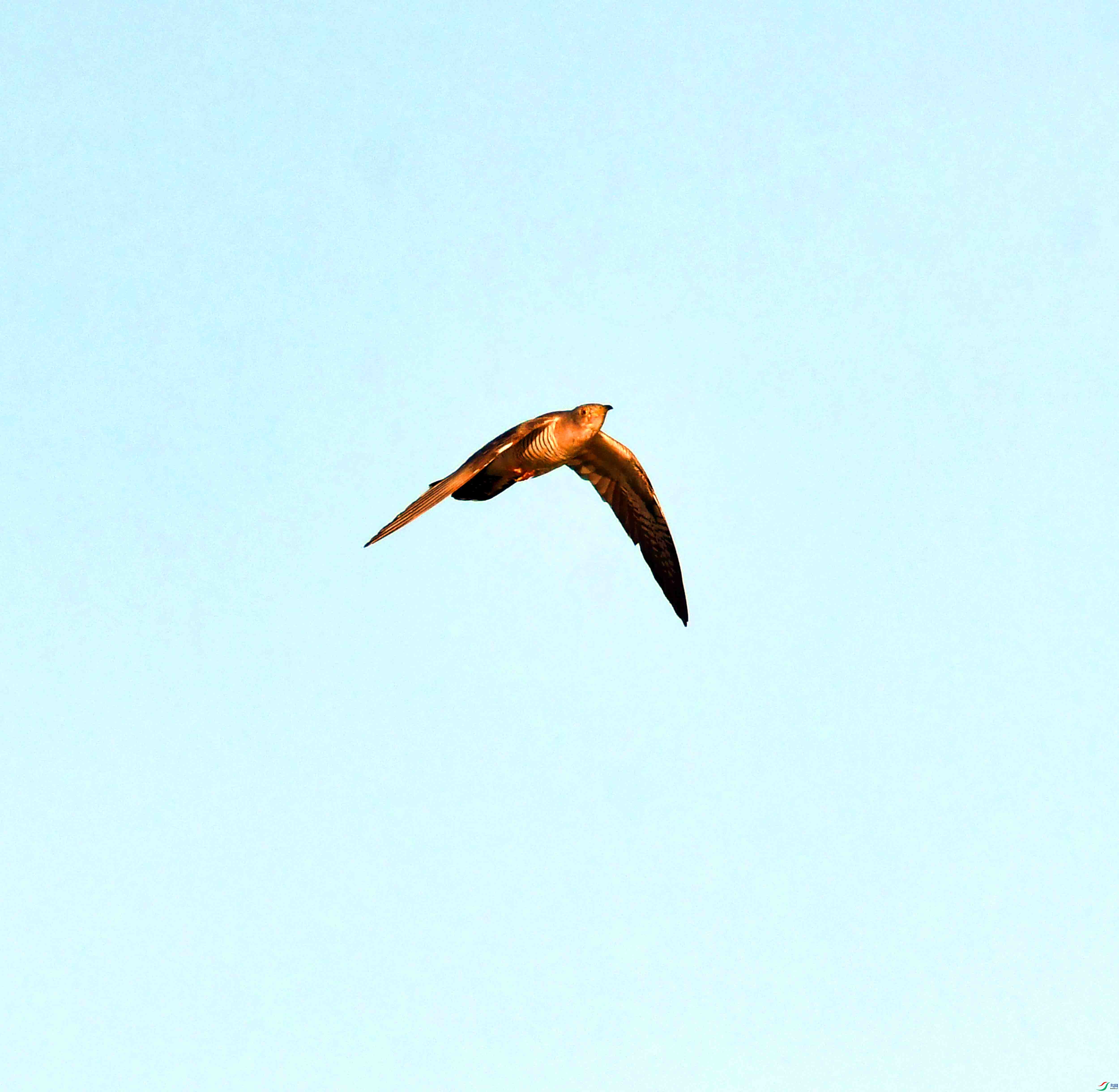 DSC_9324.JPG