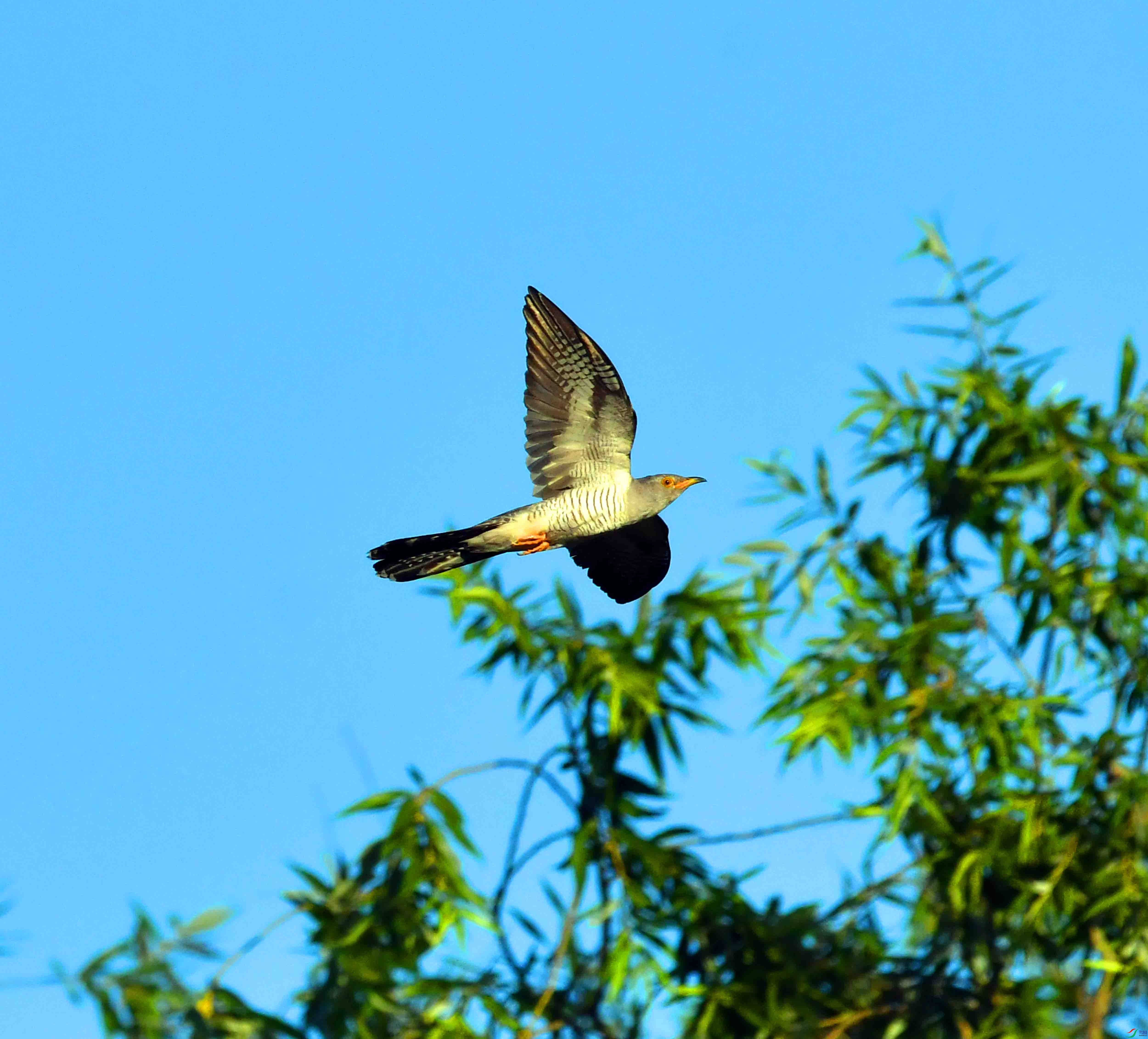 DSC_9328.JPG