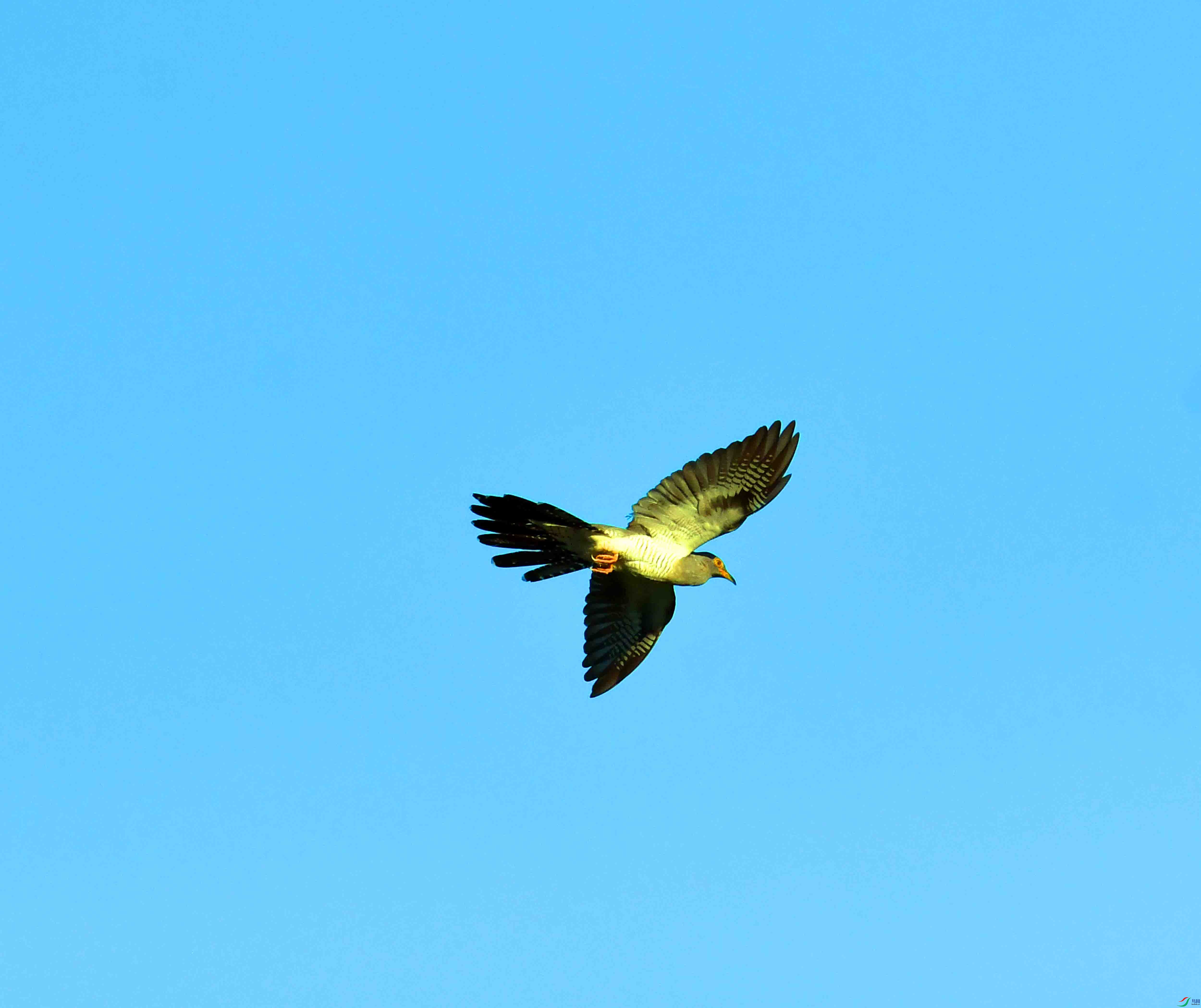 DSC_9348.JPG
