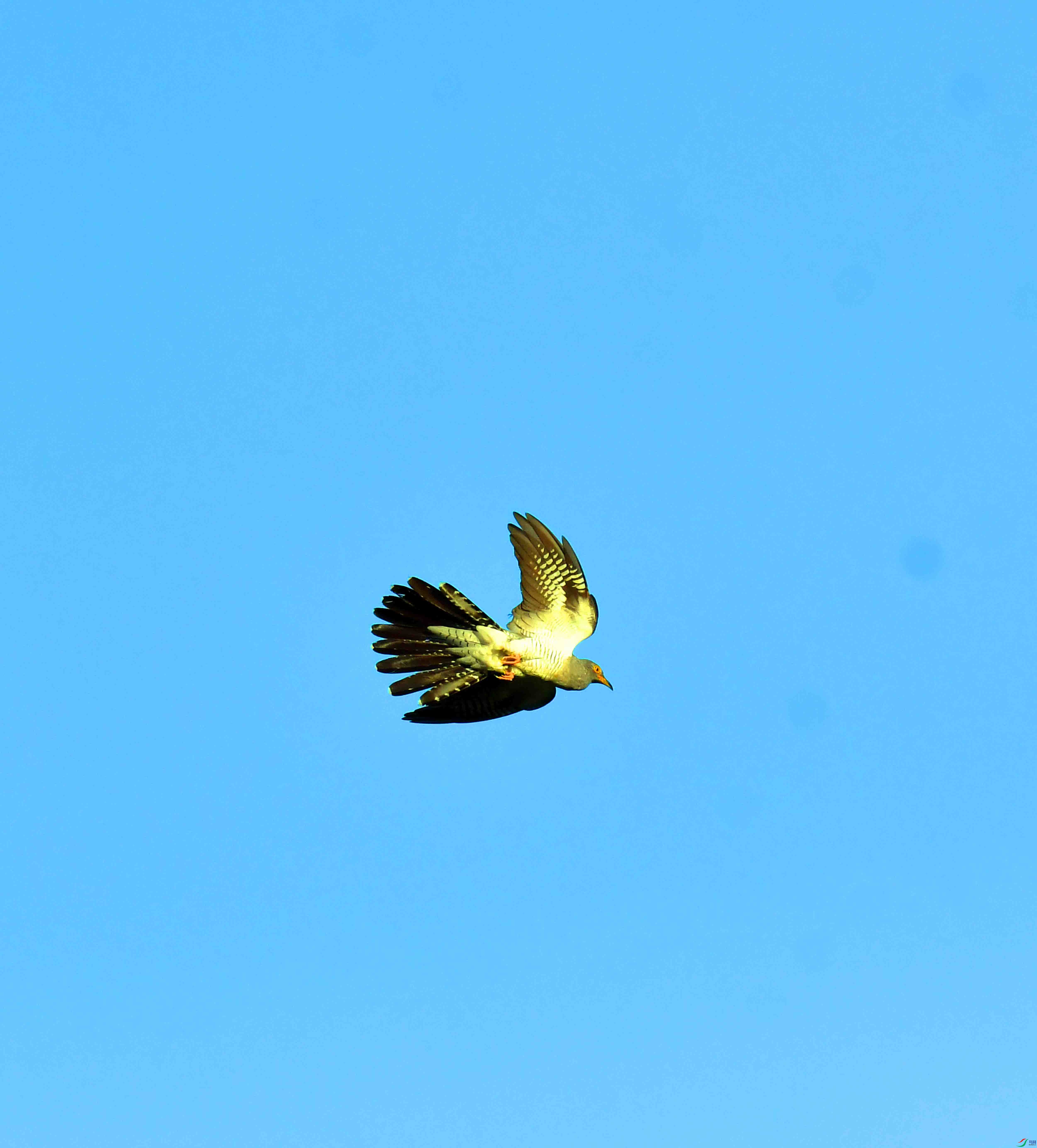 DSC_9349.JPG