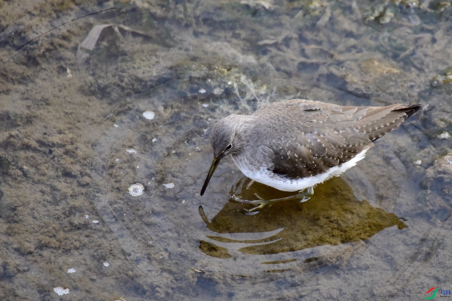 DSC_4391.JPG